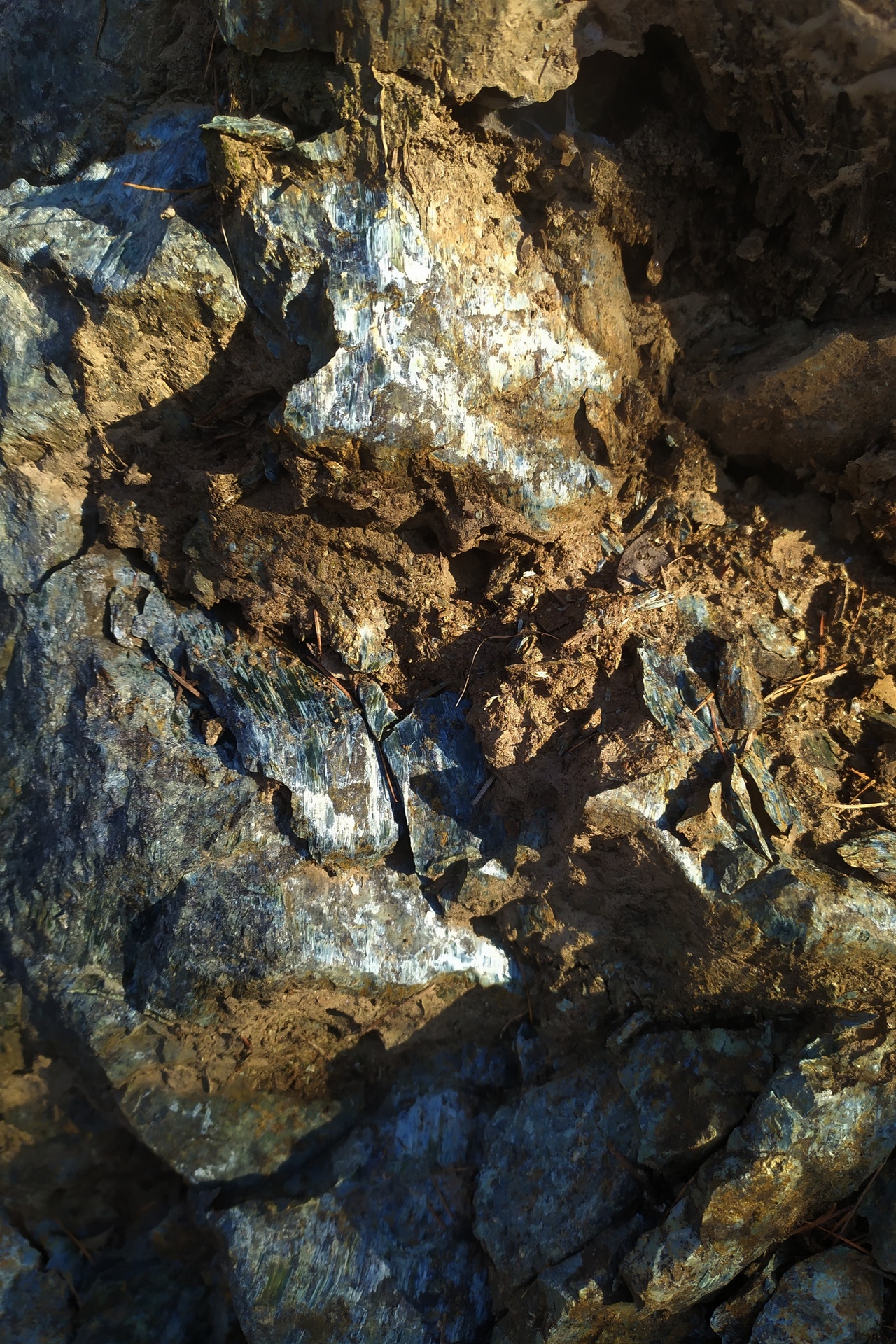 Serpentynit ze Wzgórz Kiełczyńskich