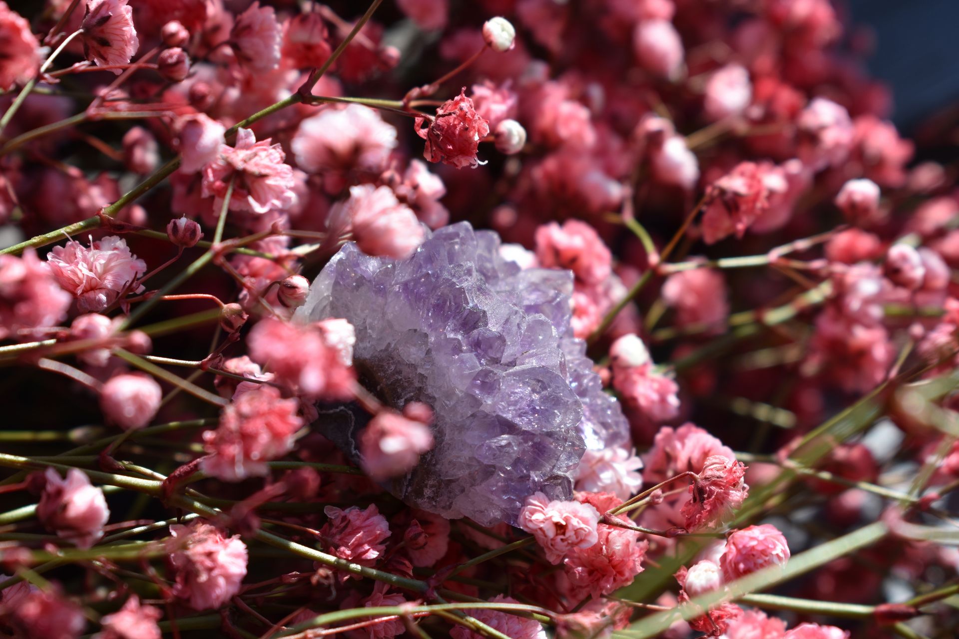 Ametystowa piękność