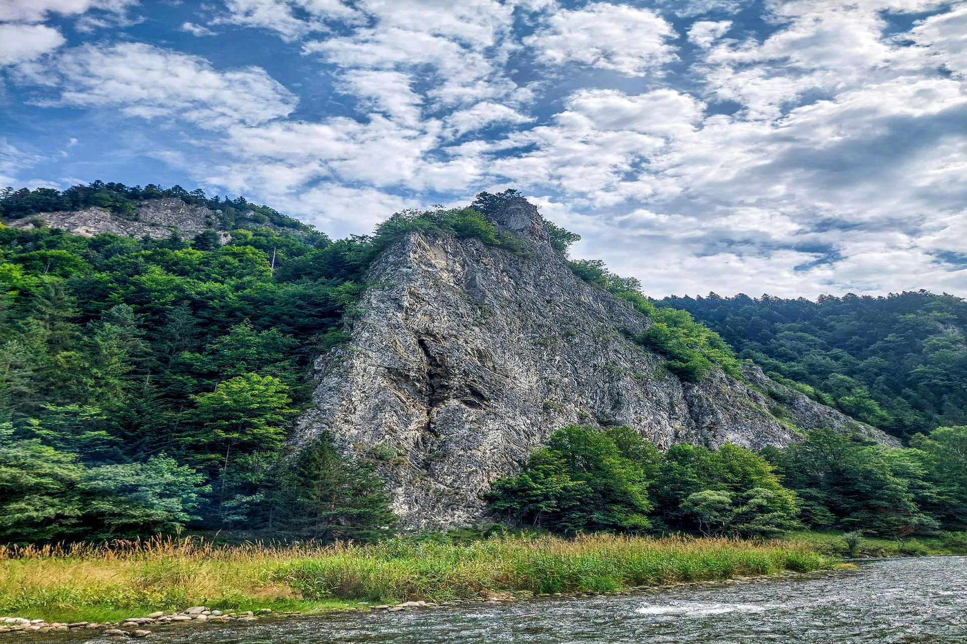 Skała w objęciach natury