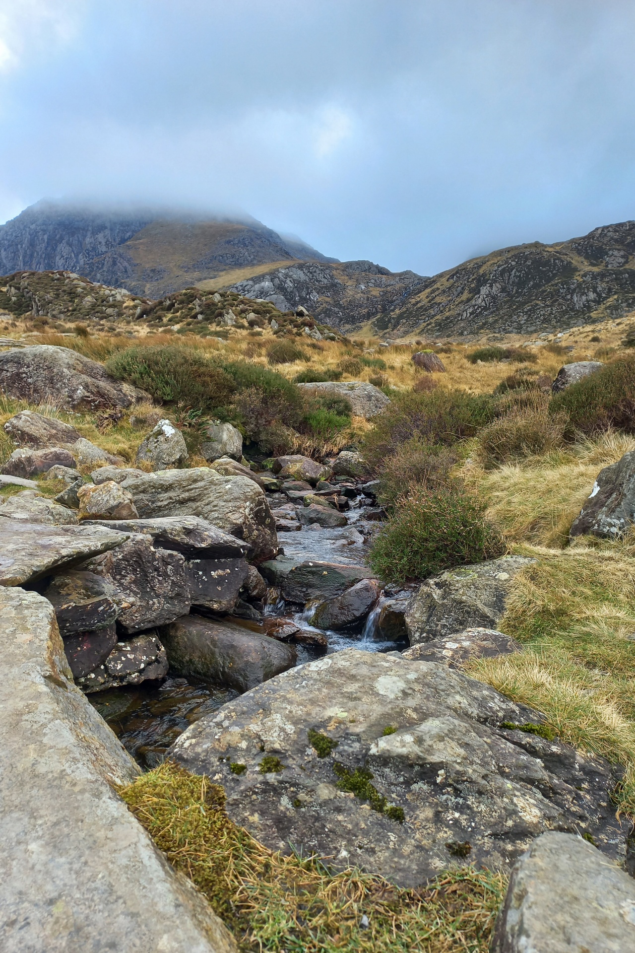 Echa przeszłości zaklęte w kamieniu