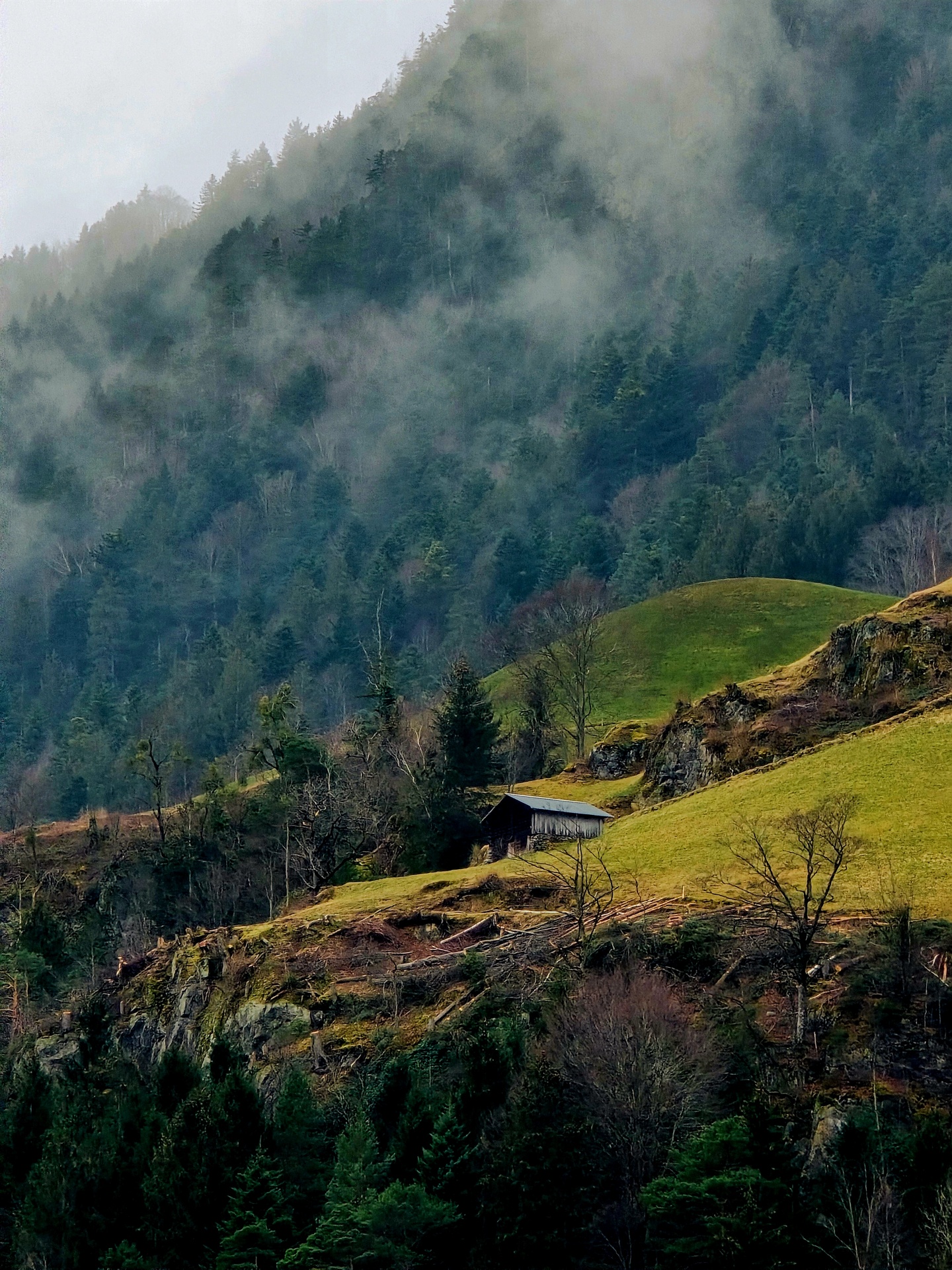 Chatka na zboczu góry