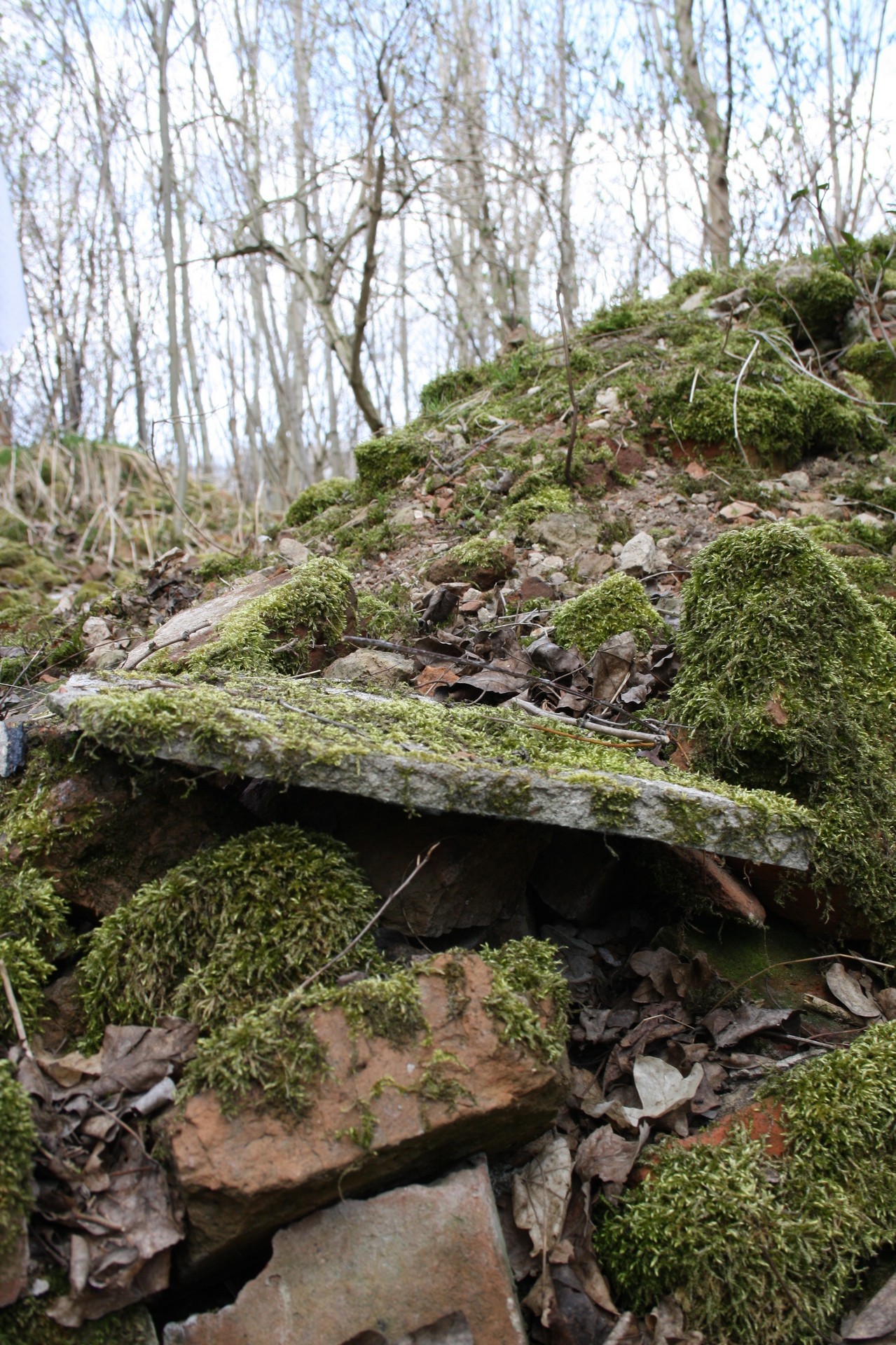 Próba dopasowania głazów