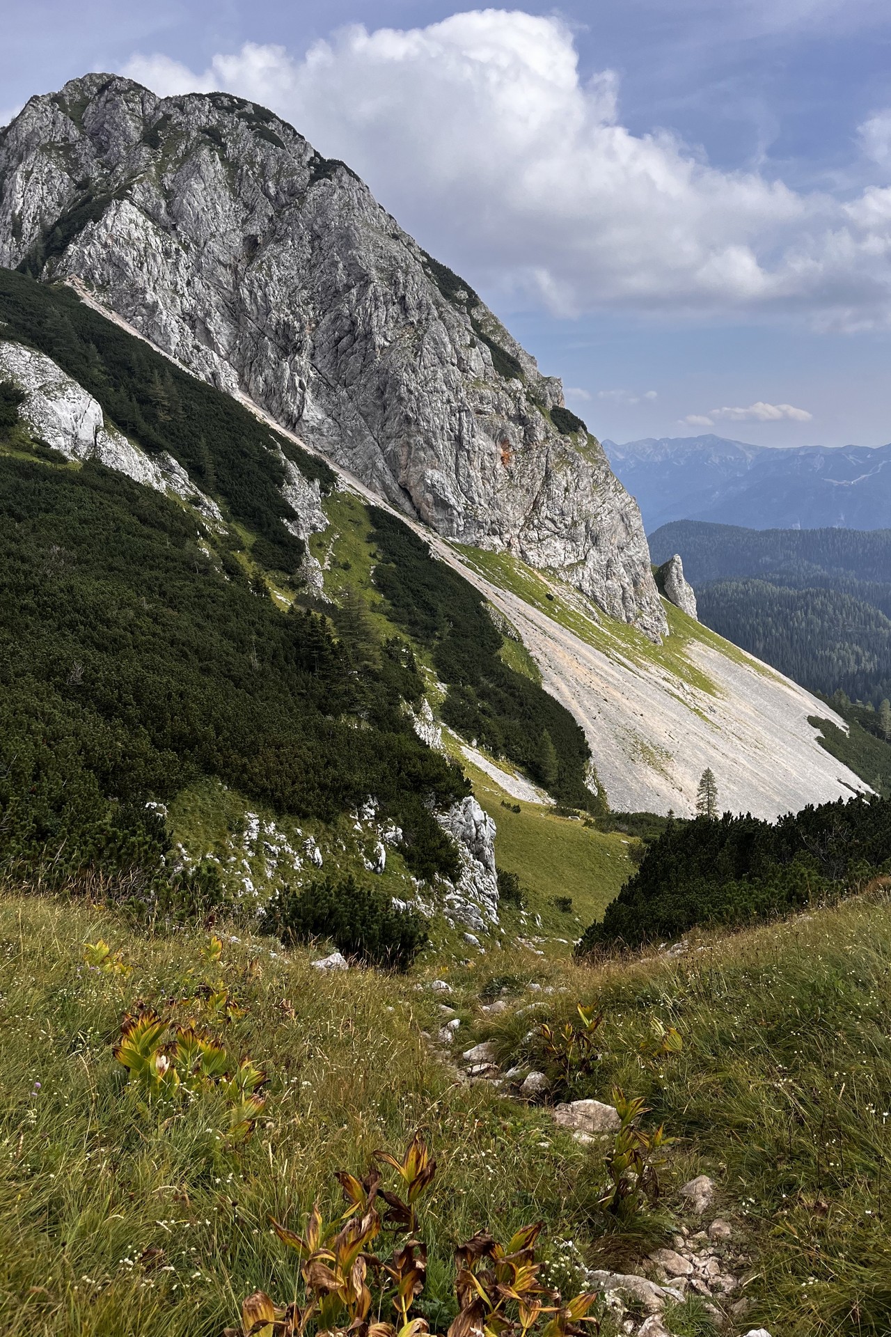 Piargi w Alpach-Austria