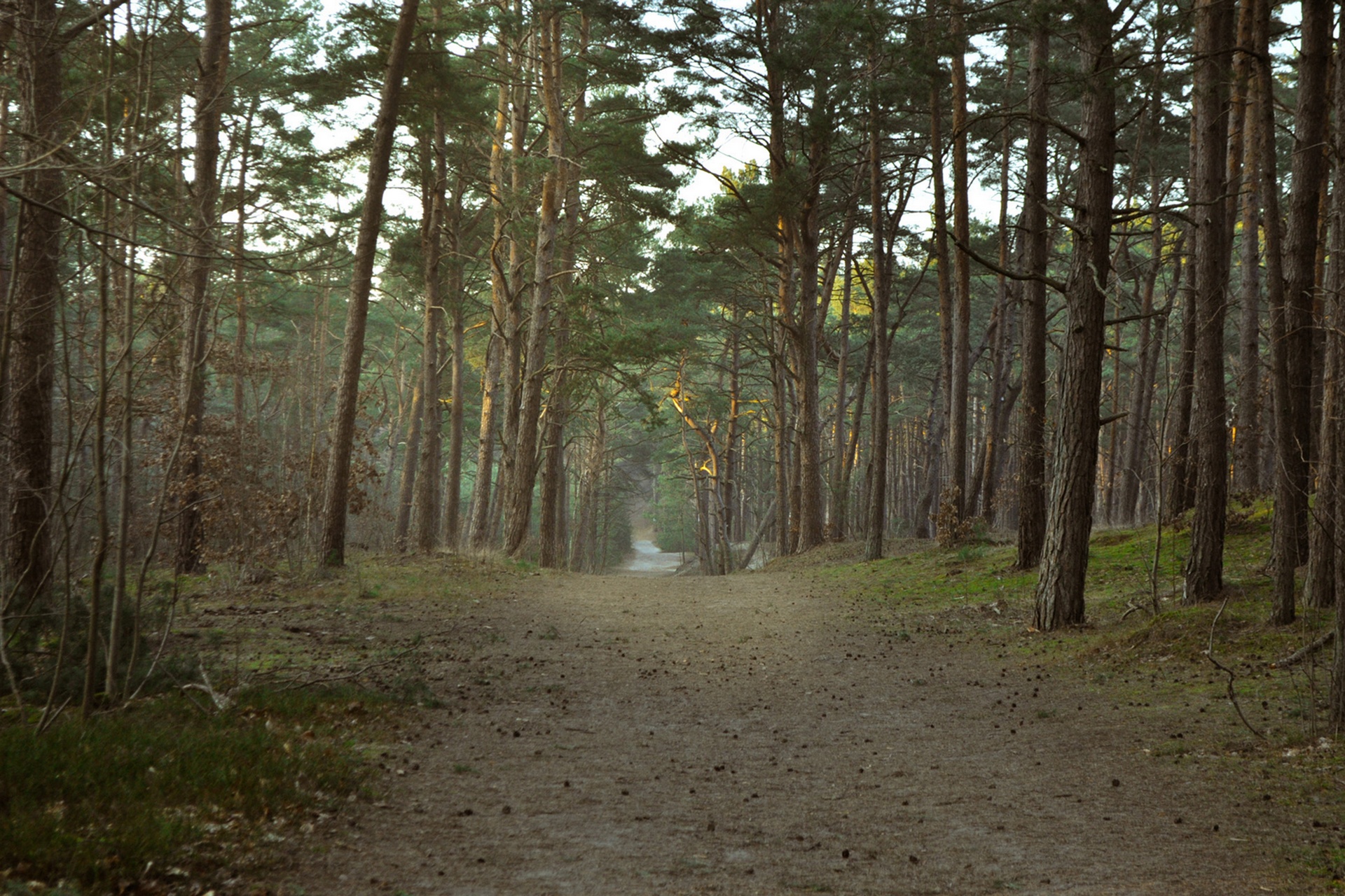 Świetliste ścieżki