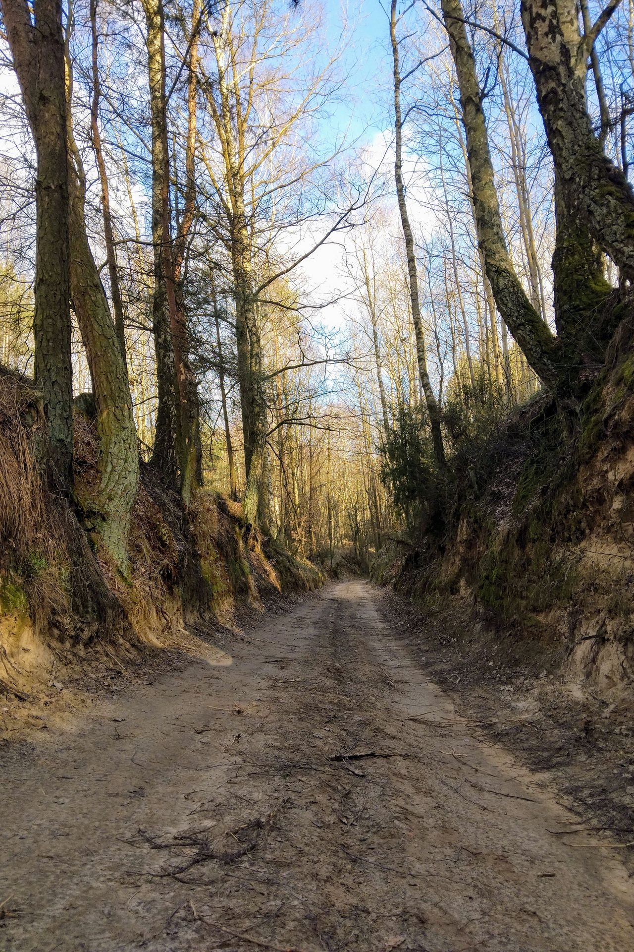 Żłobione przez naturę