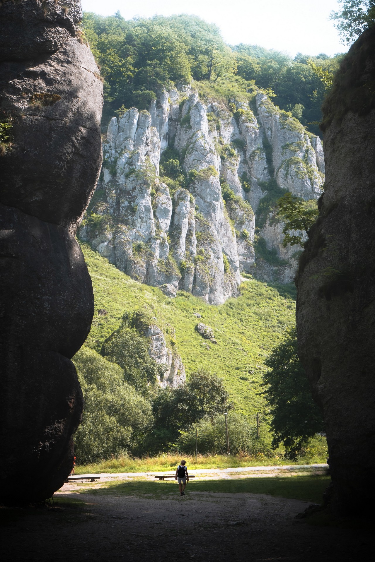 Wapienne formacje, w tym Brama Krakowska, w Ojcowskim PN