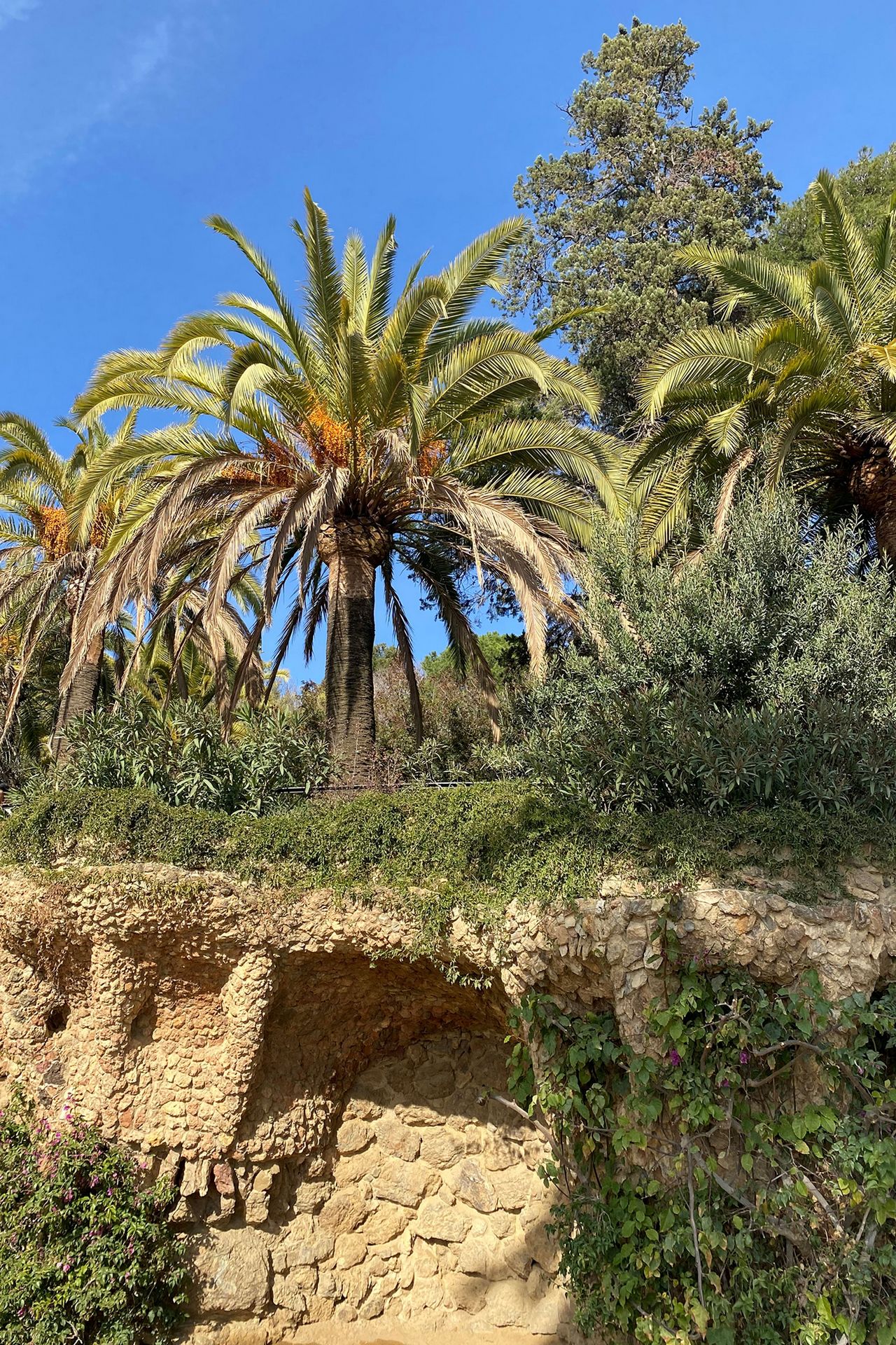 Kamienne sekrety Raju