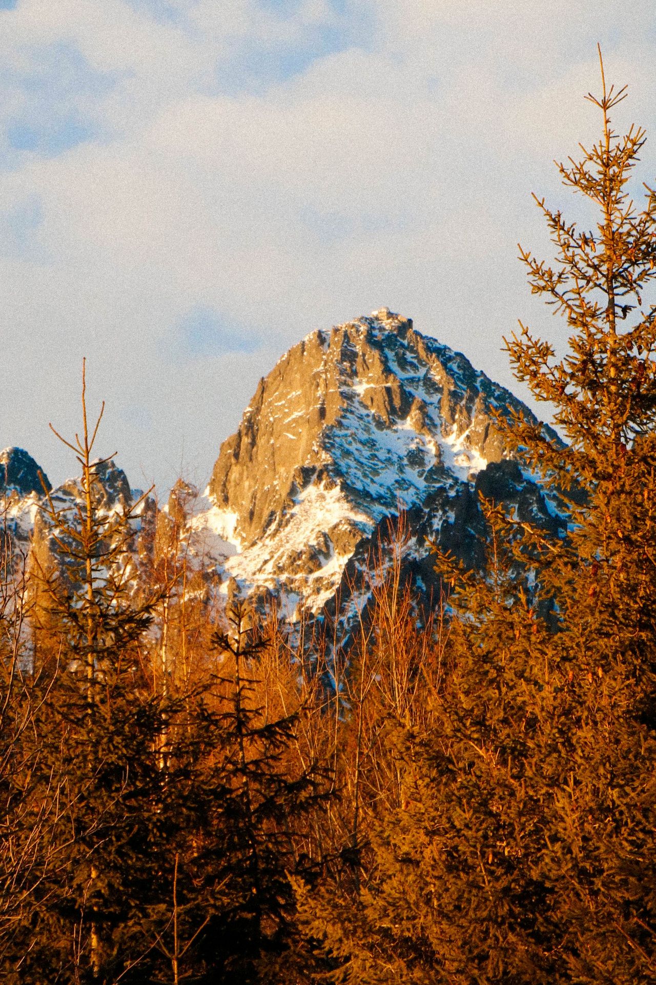 Skalny gigant w ramionach lasu