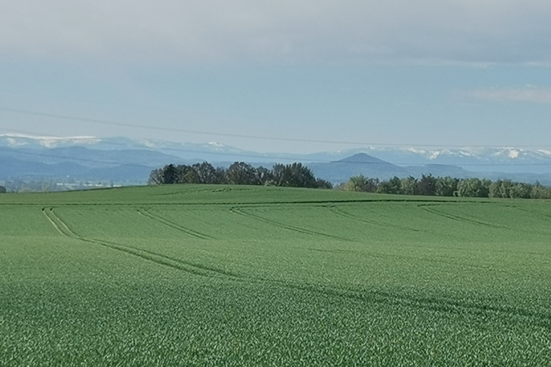 Ostrzyca na tle Karkonoszy