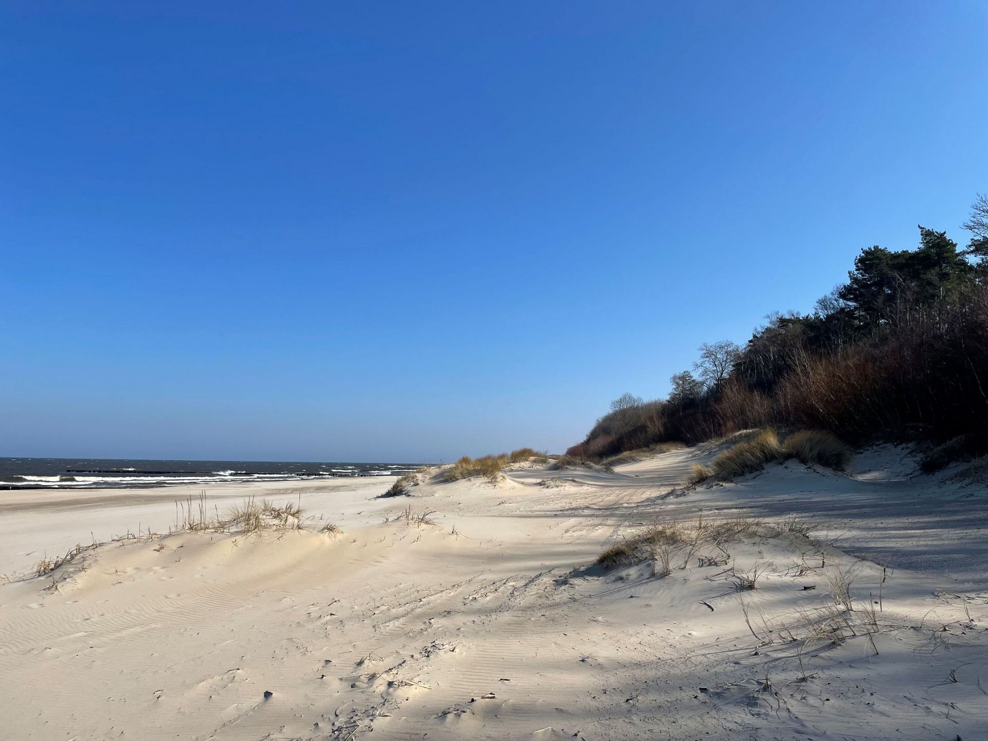 Wybrzeże klifowe w Rewalu