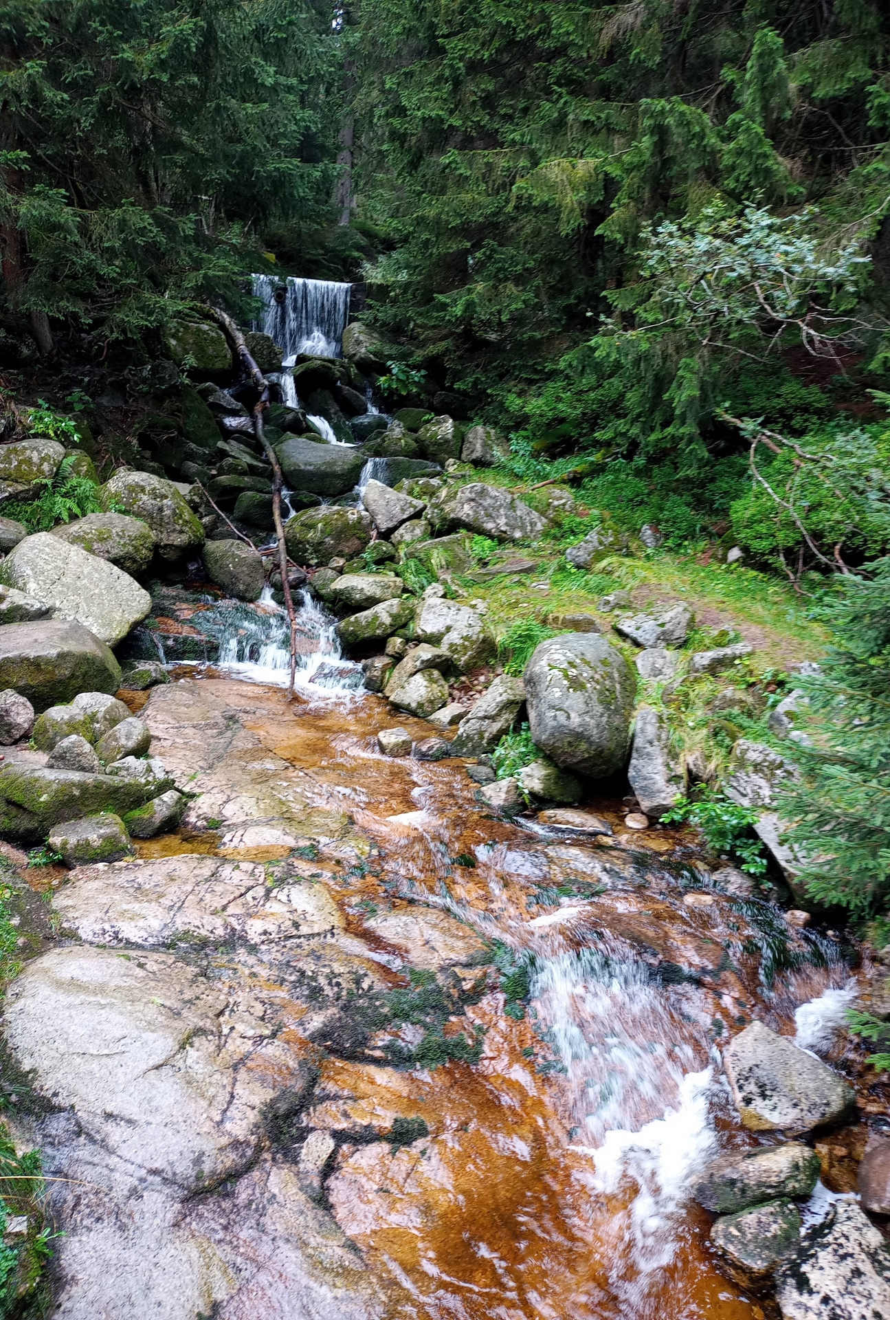 Potok górski dążący do źródła