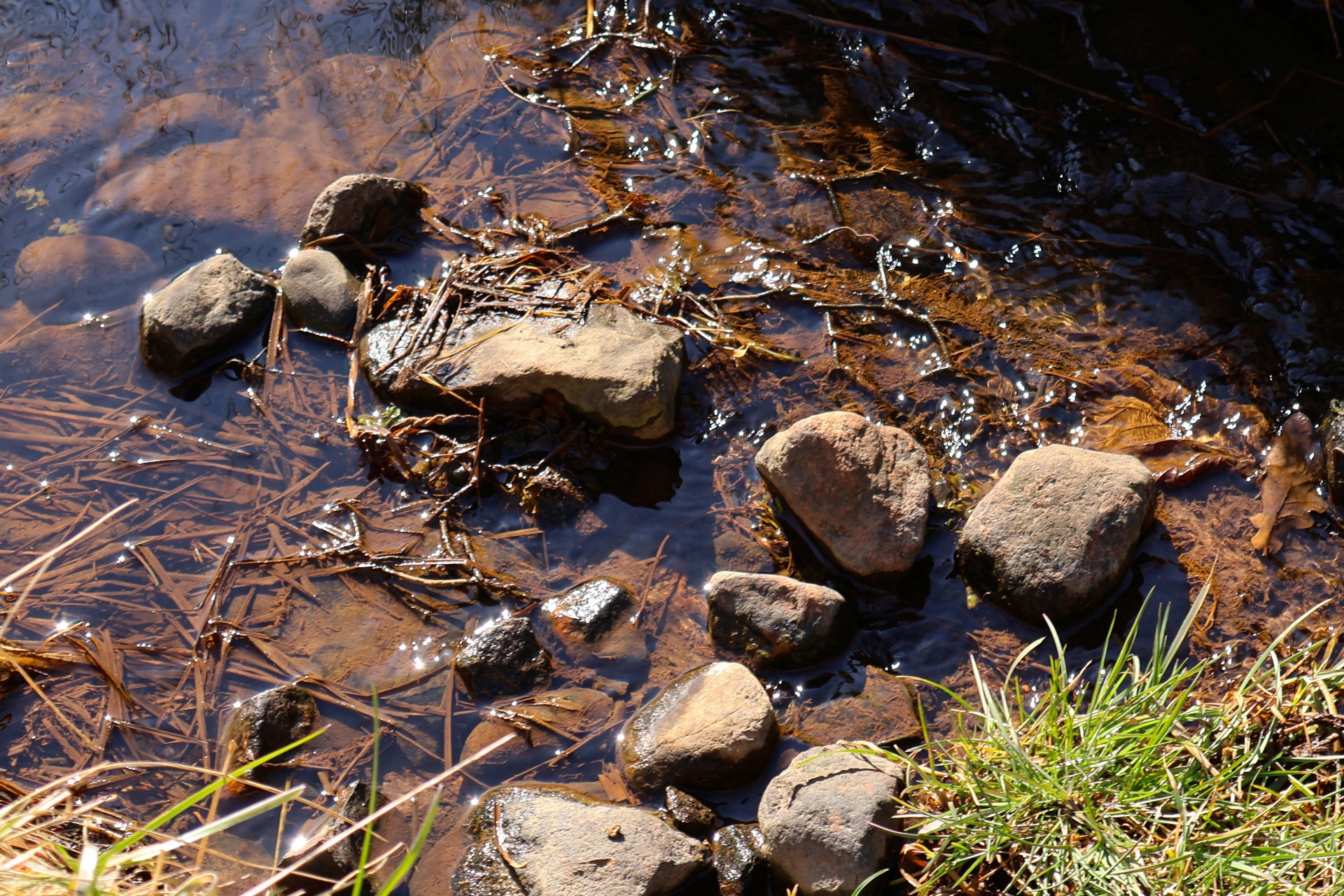 Strumień w słońcu