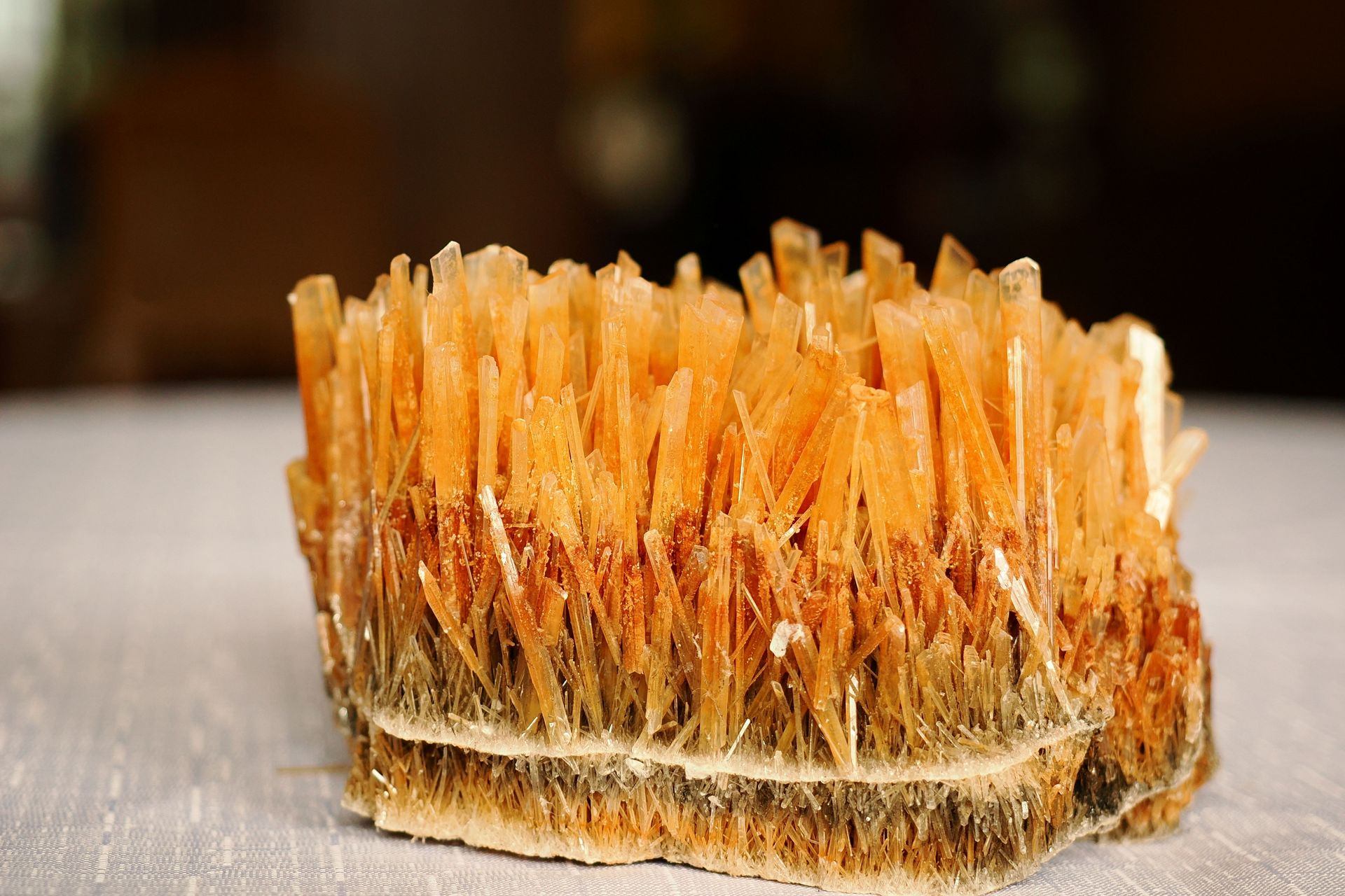 Magia igiełek gipsu