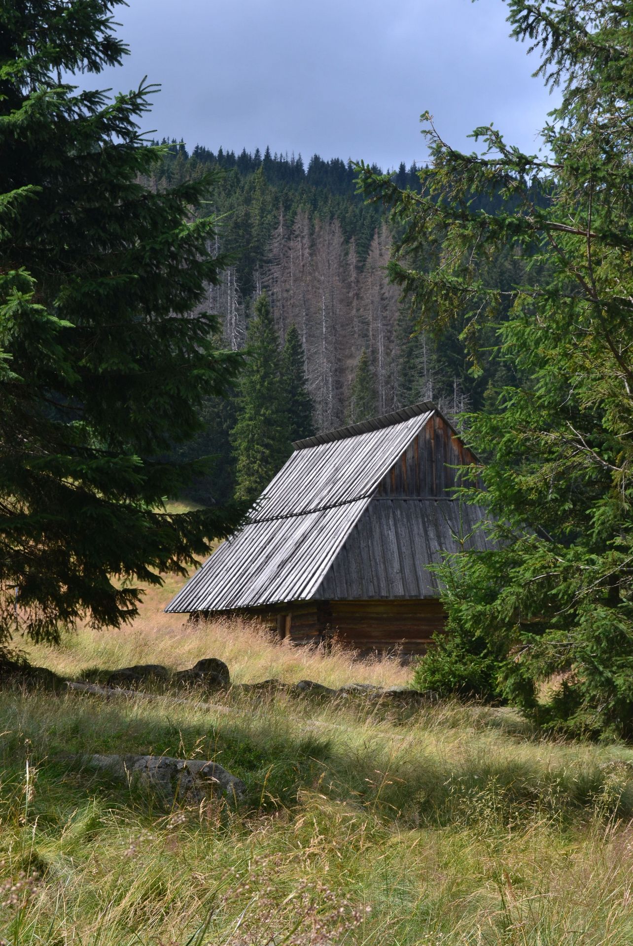 Chata w sercu gór