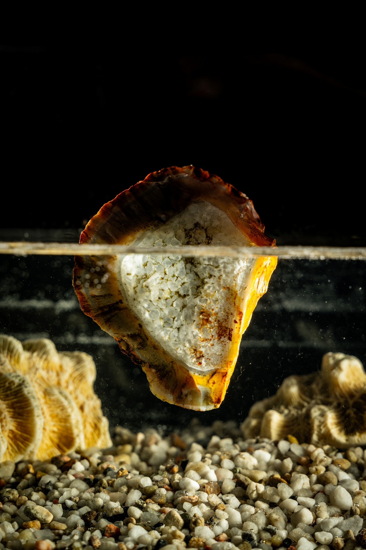 Światło wody życia