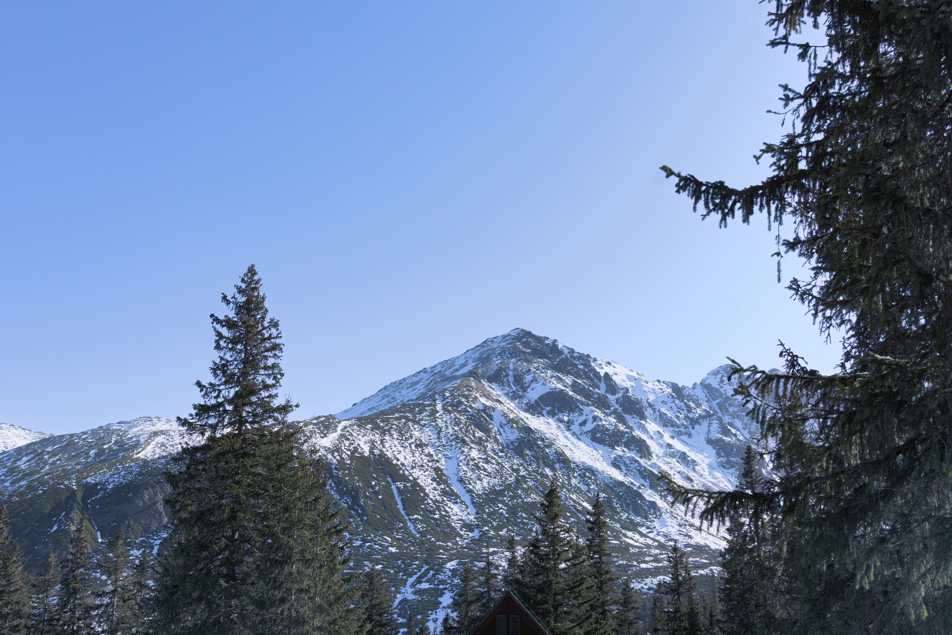 Iglaste Spojrzenie Na Rzeczywistość