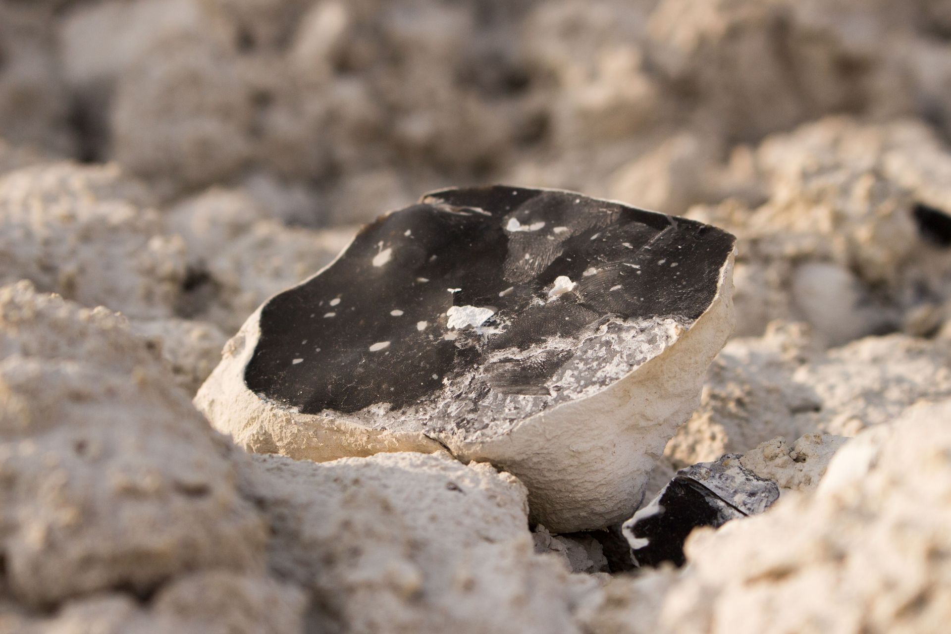 Krzemień - piękno ukryte w kredzie