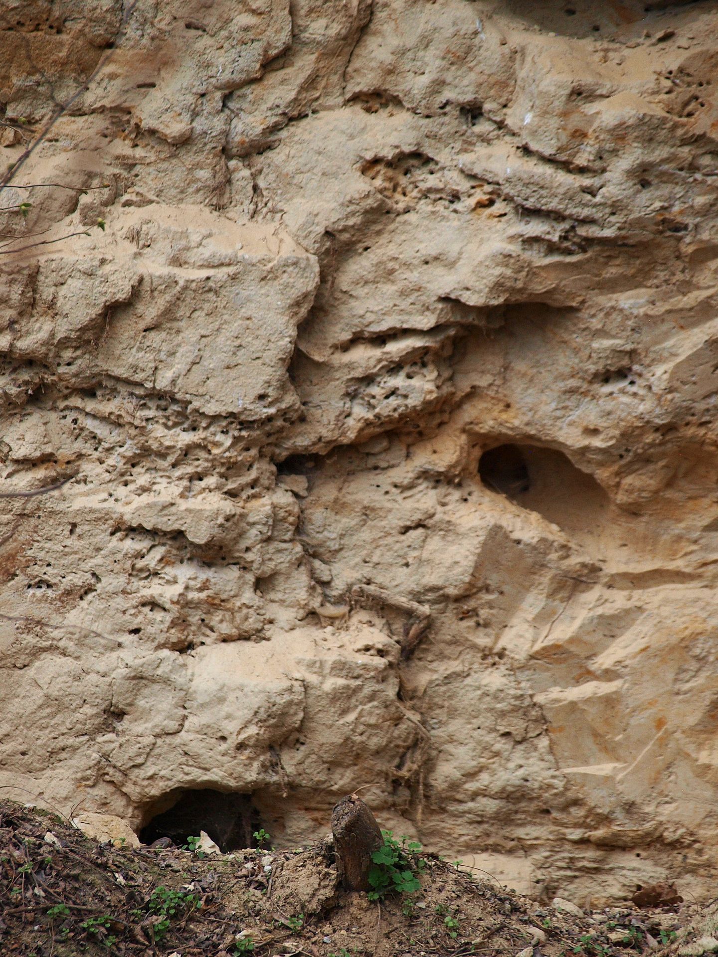 Minerały ziemi w Opatówku