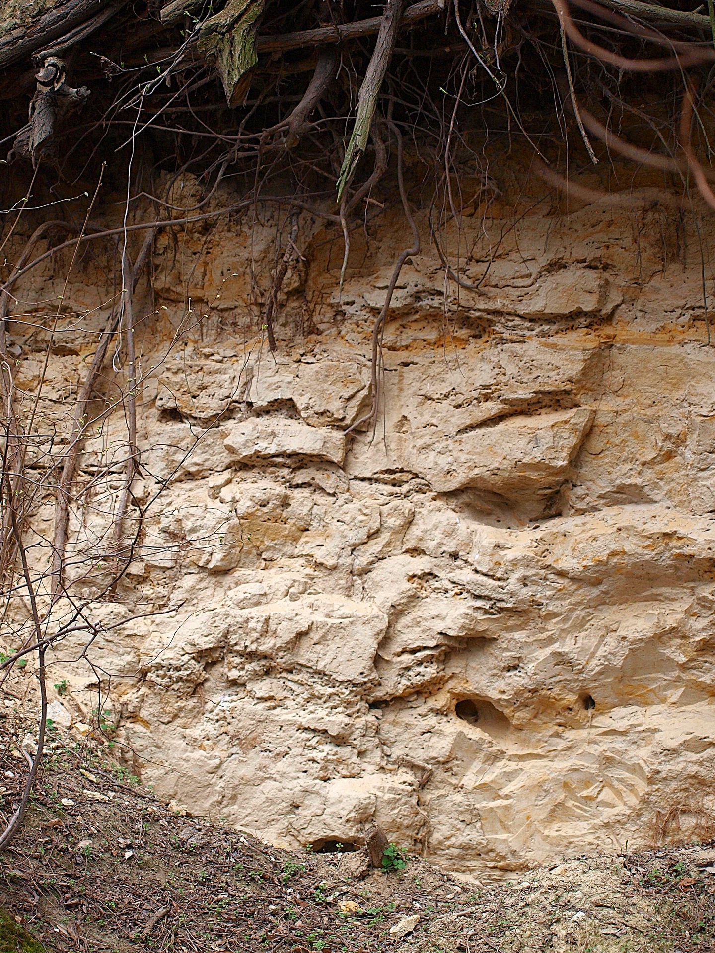Ił, piasek, żwir i korzenie