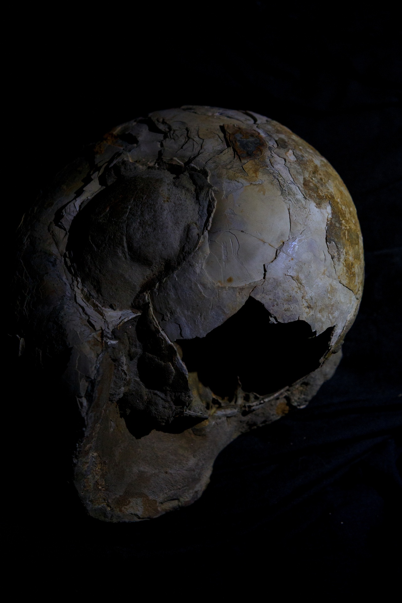 Być albo nie być; oto jest pytanie