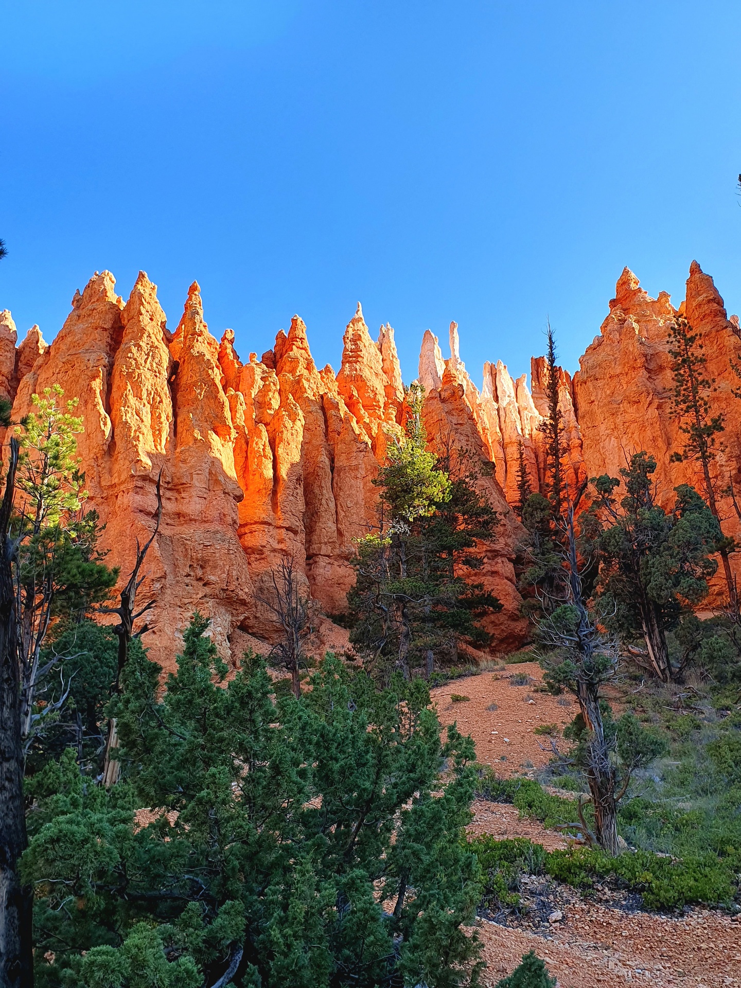 Czerwone wieże natury