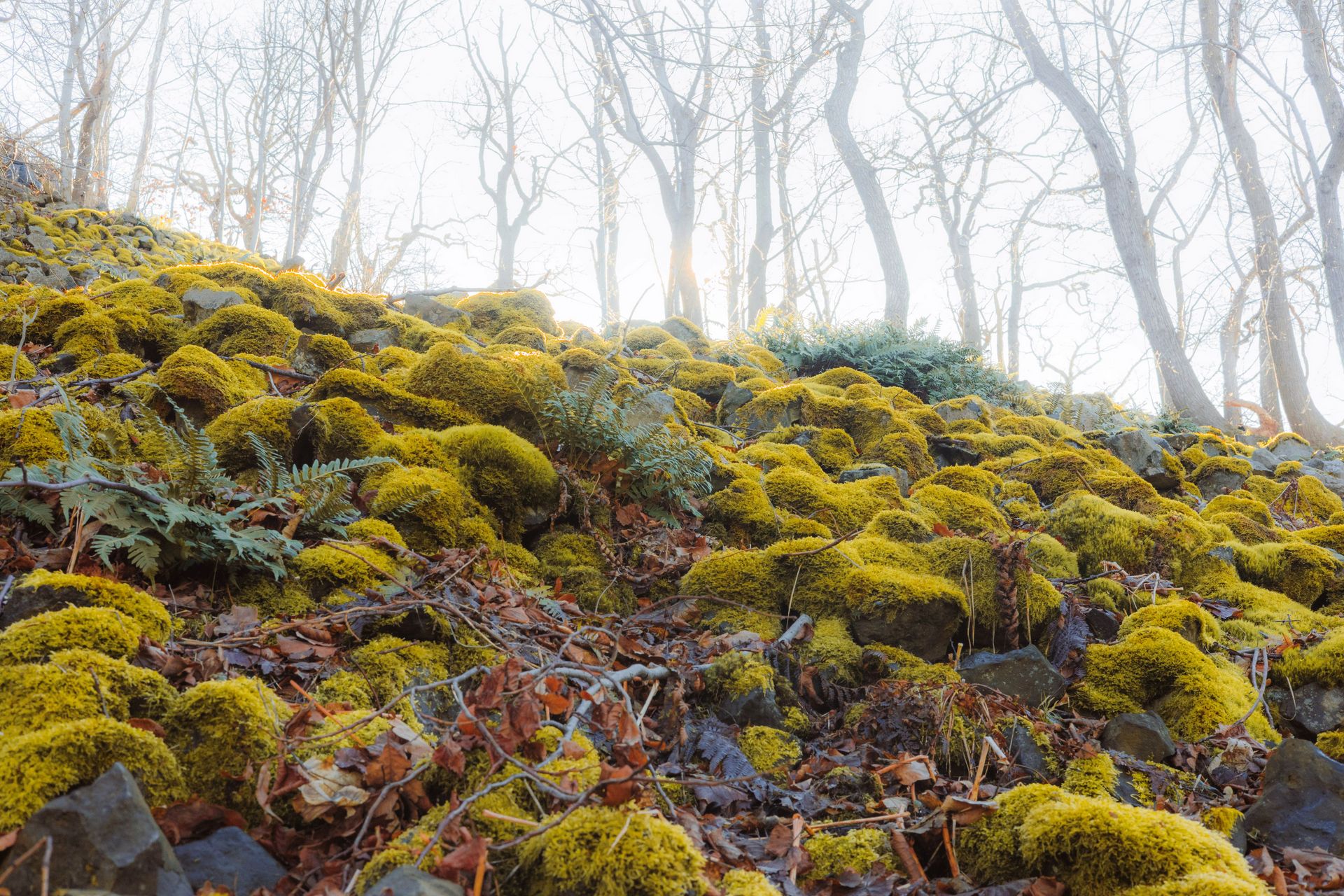 Mech czasu na wulkanie