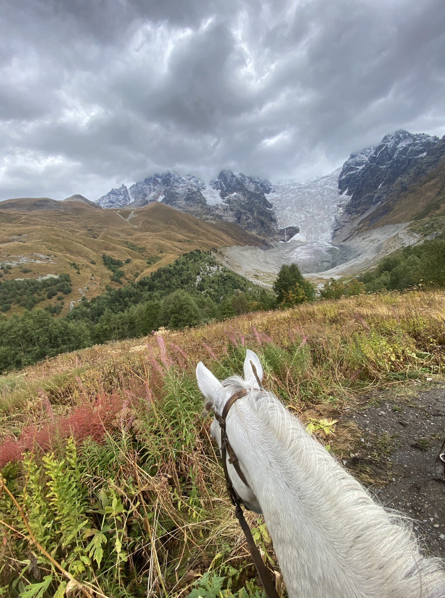 Podniebna podróż spojrzenie jeźdźca