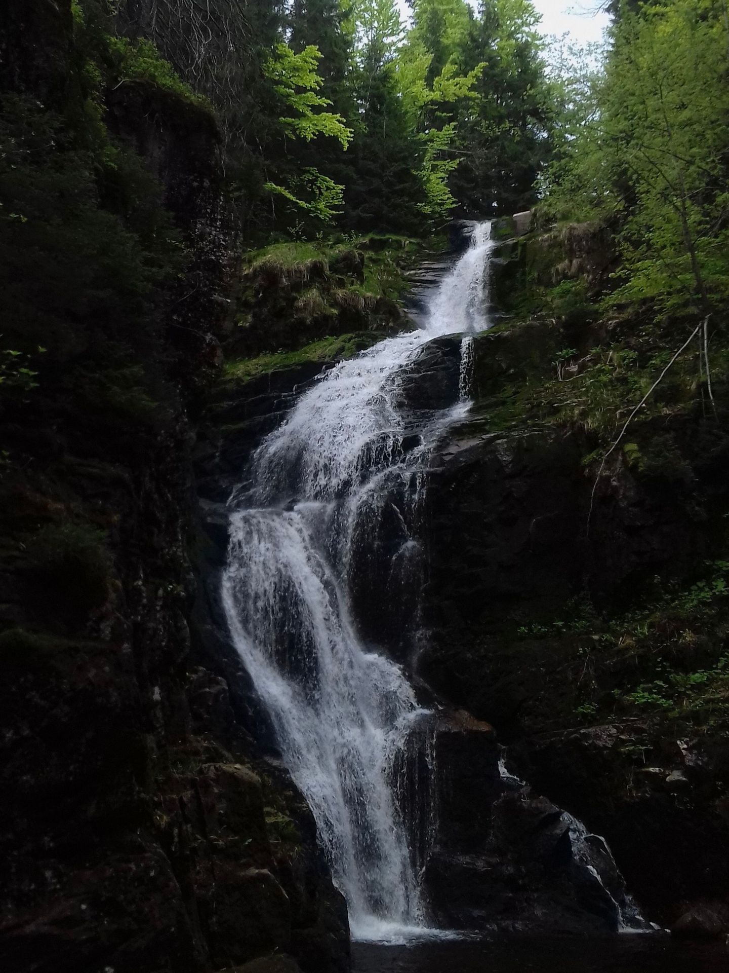 Leśna Kaskada Tajemnic 