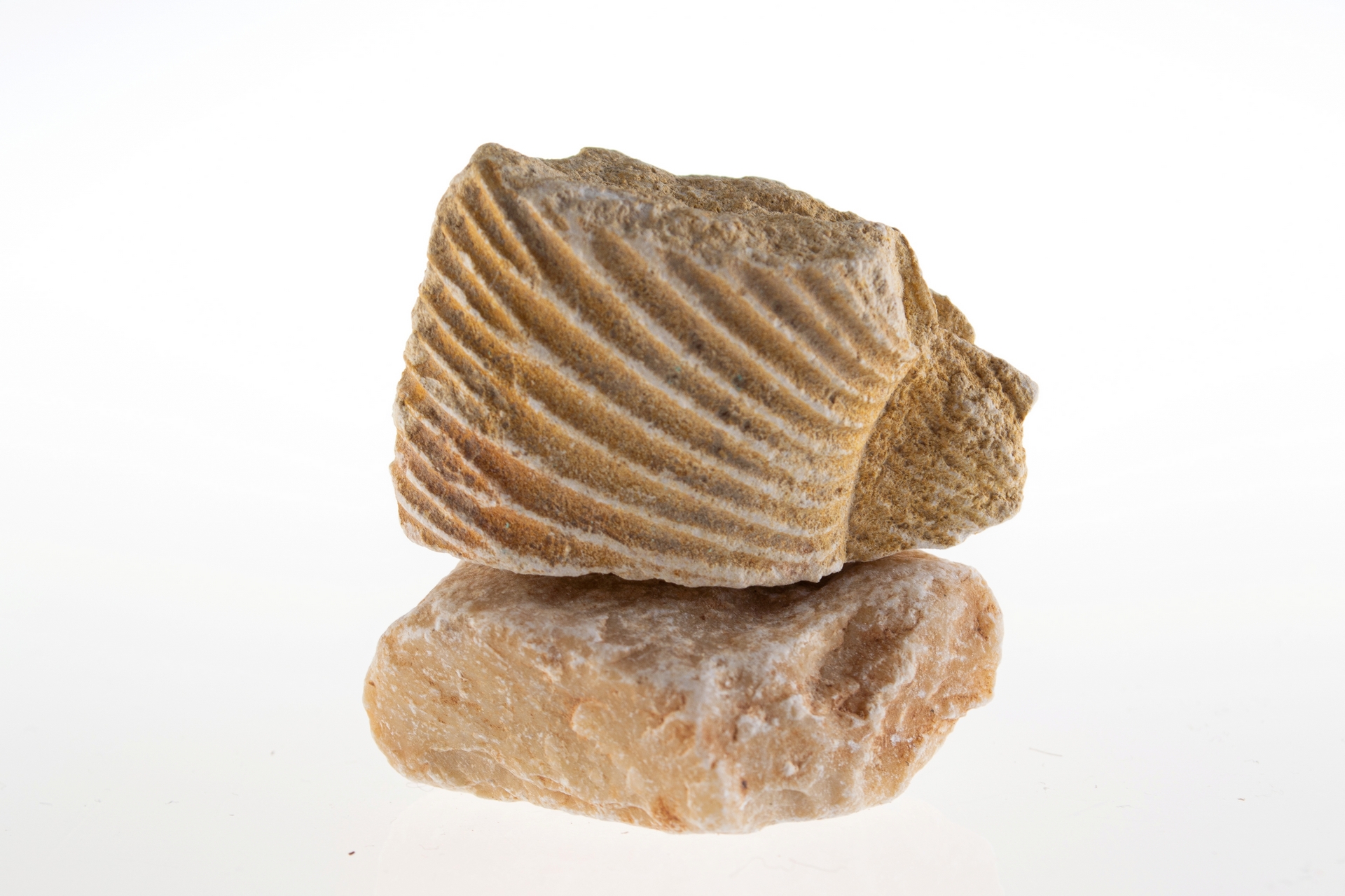 Bliżej blasku ziemi