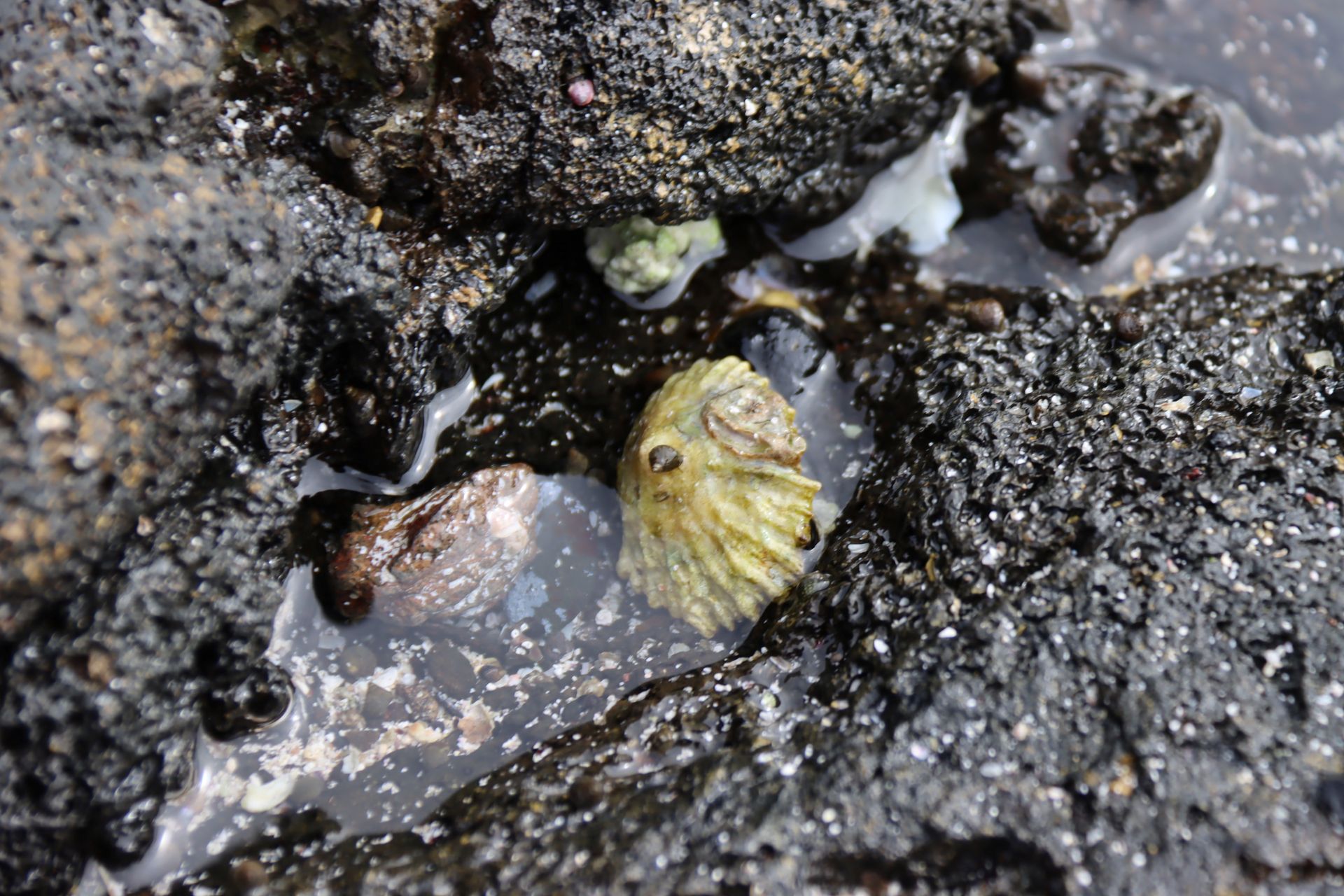 Samotność w kamiennym świecie