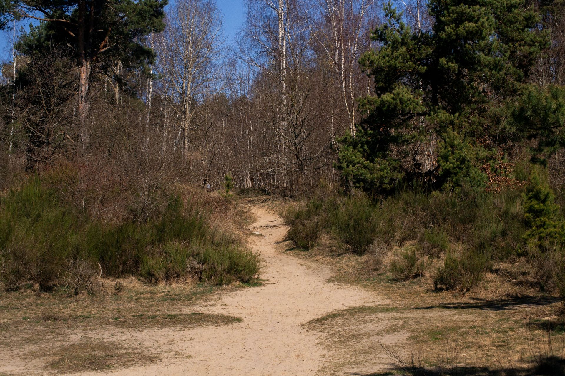 Piaszczysty szlak w nieznane