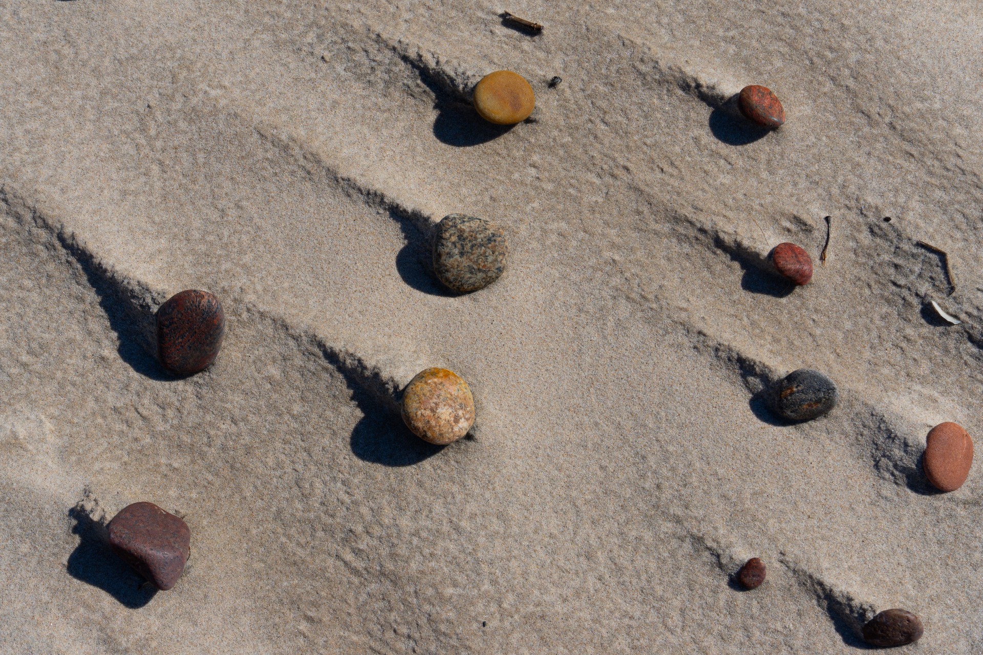 Wyrzeźbione morskim wiatrem