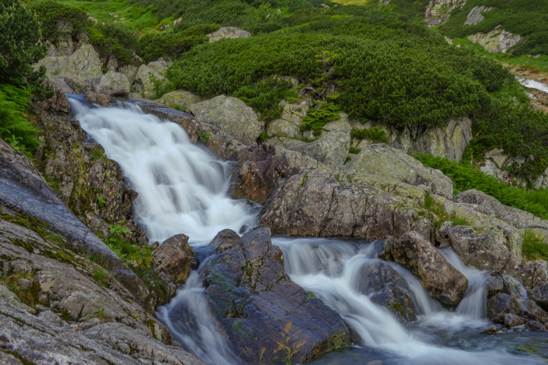 Na tatrzańskich szlakach