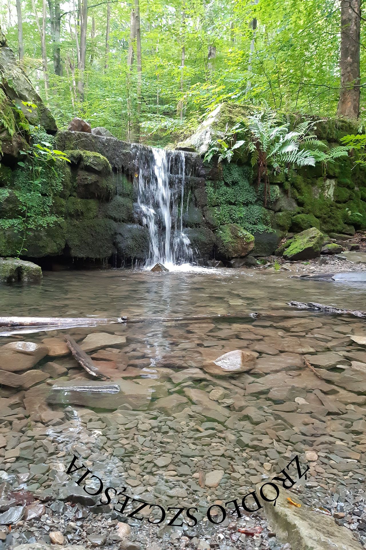 Źródło szczęścia