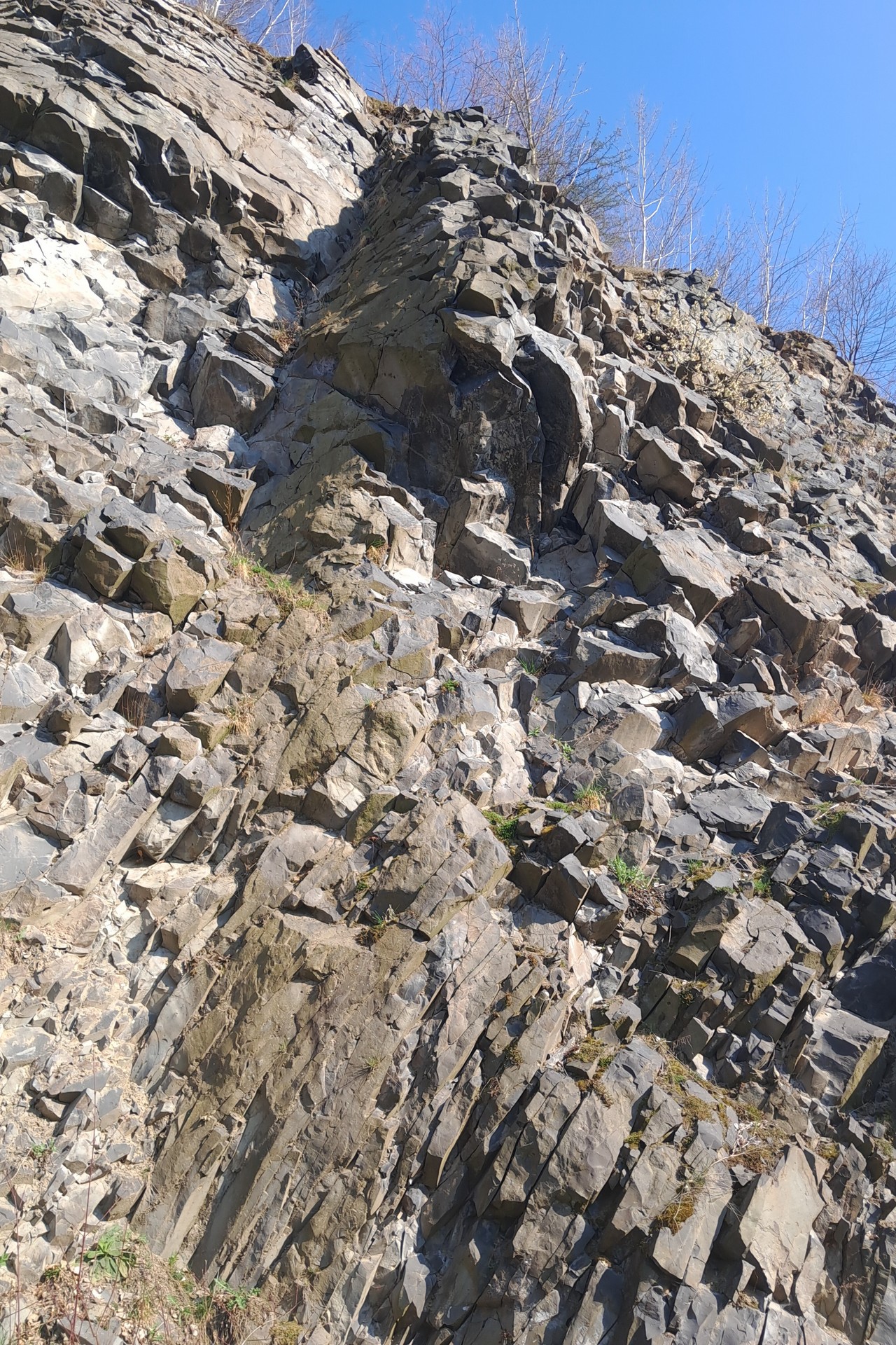 Majestat bazaltu w ścianie nieczynnego kamieniołomu