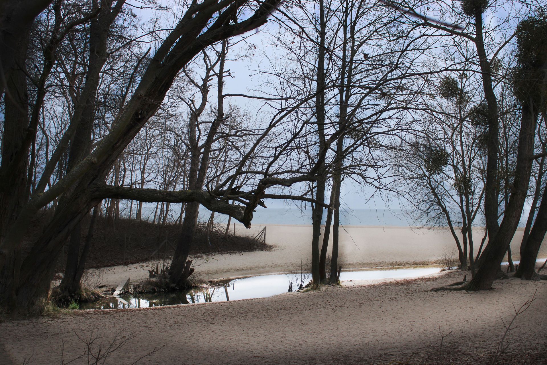 Brama do świata ciszy