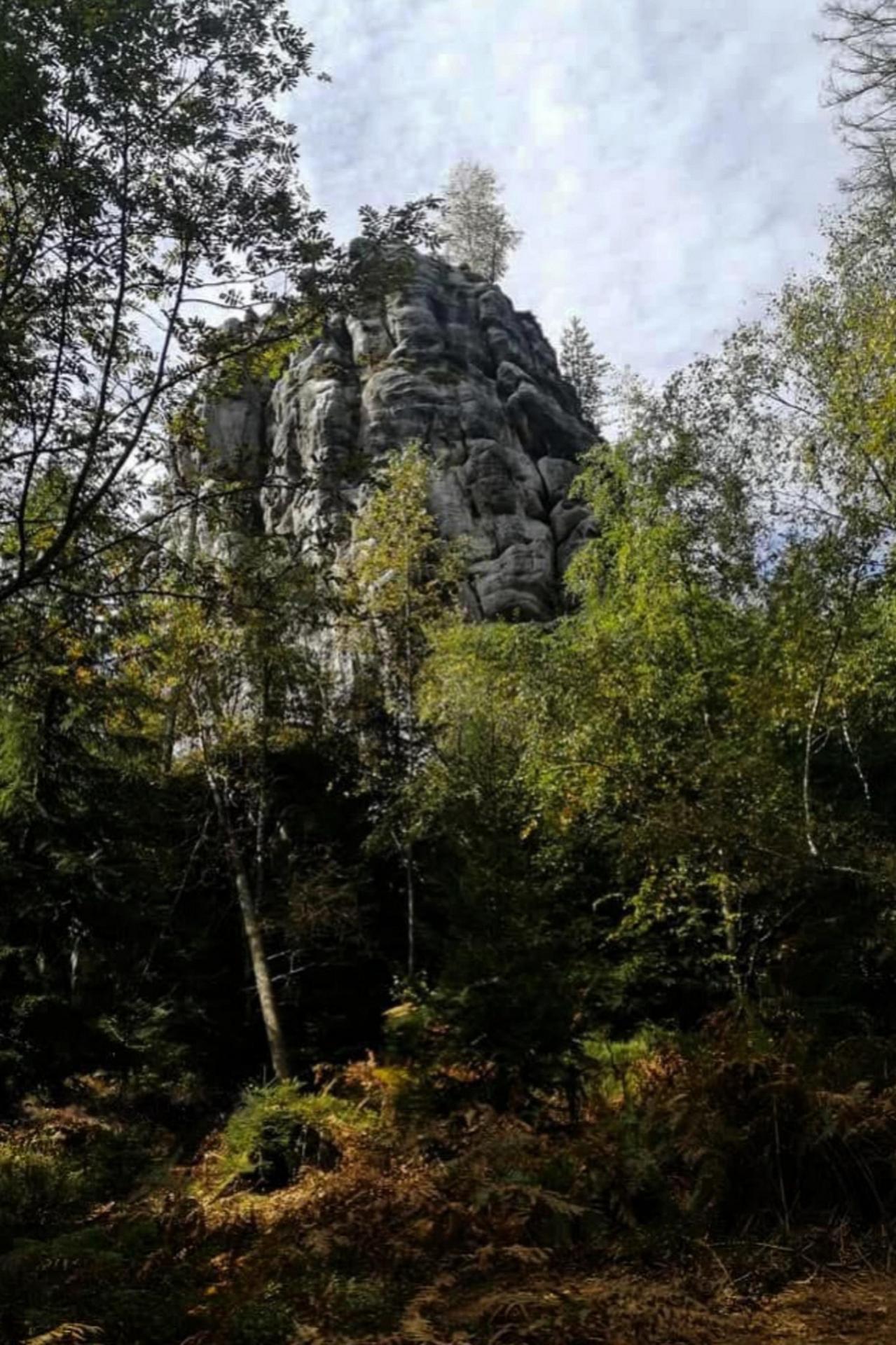 Milczący obserwator