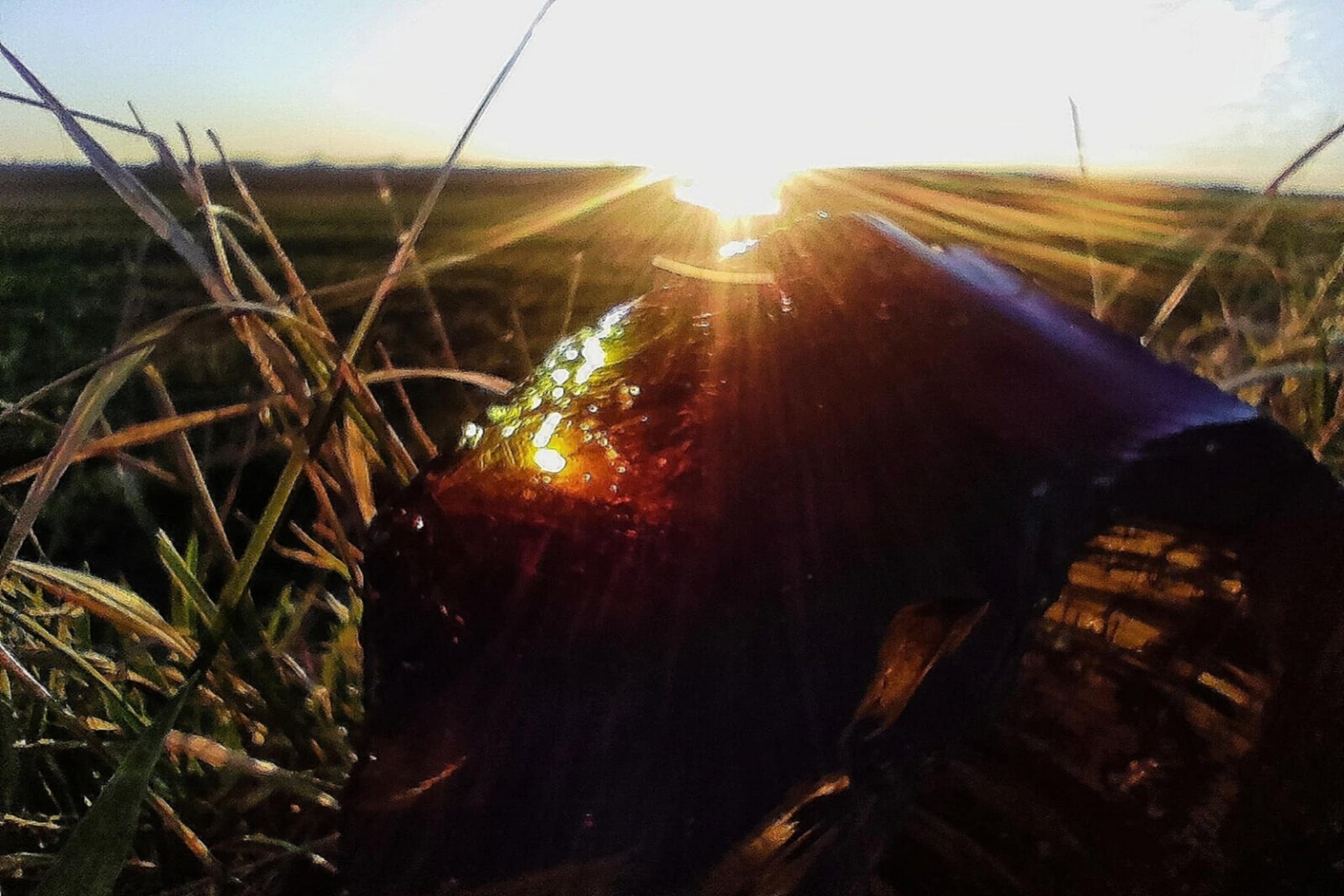 Ognisty obsydian o zachodzie