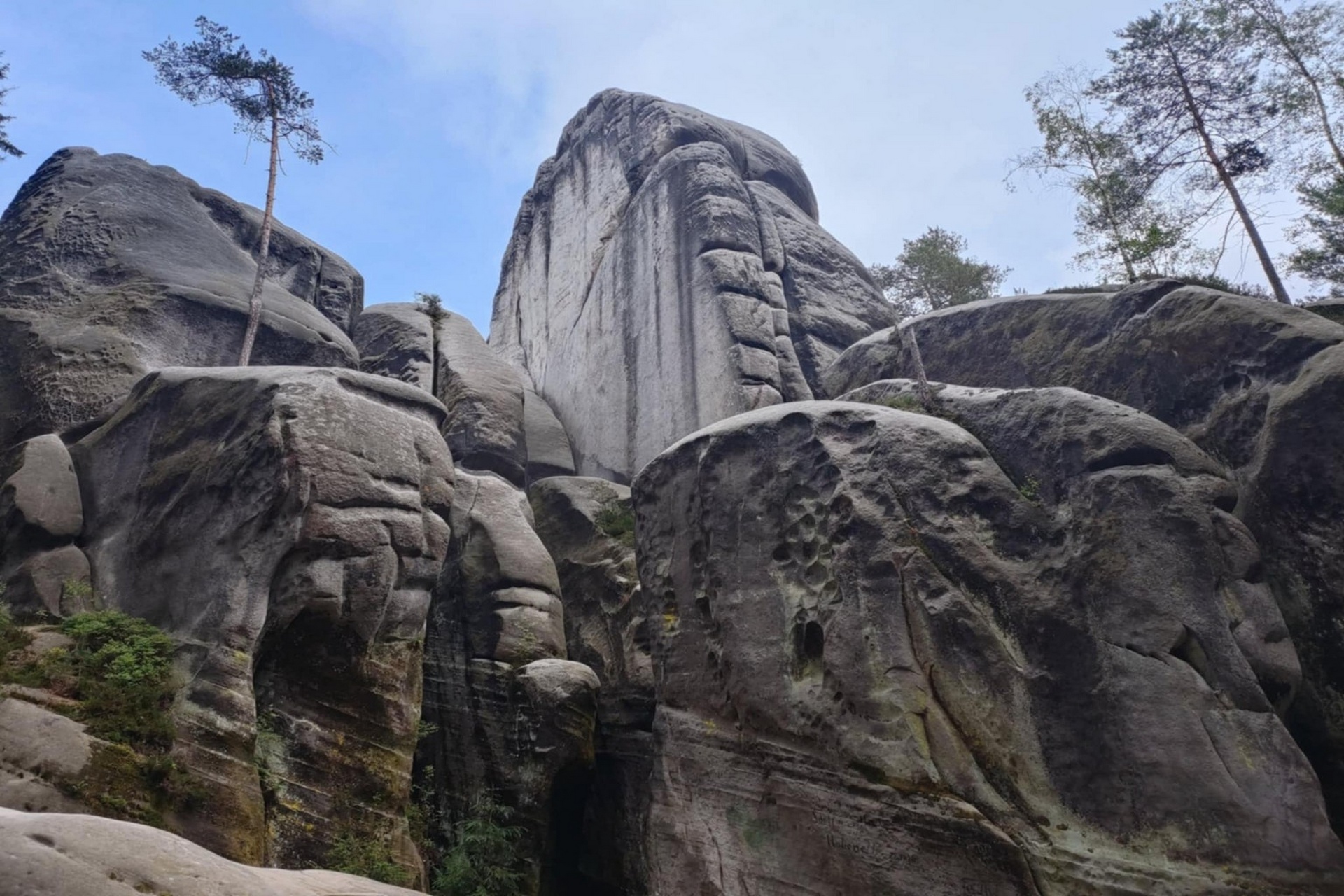 Milczące giganty- rzeźbione przez czas i naturę