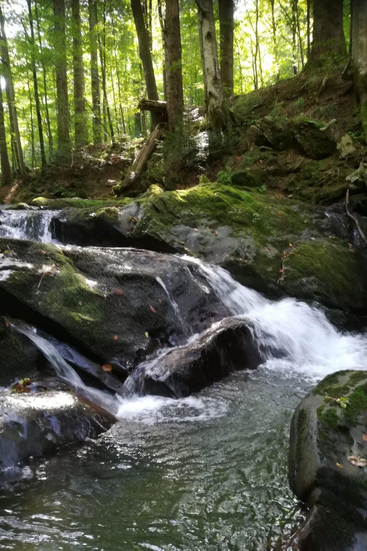 bieszczadzki chodnik