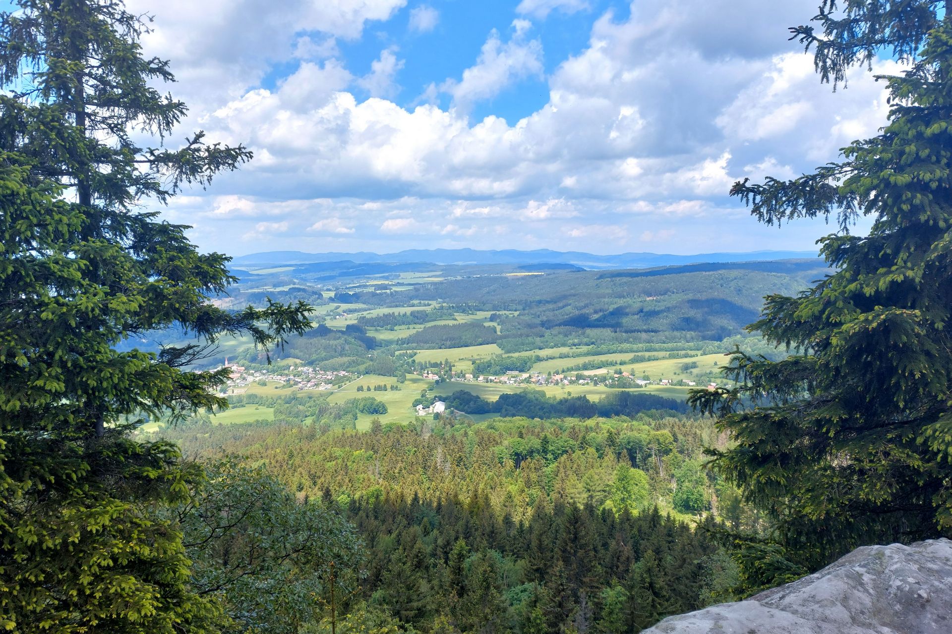 Echo zieleni i ciszy