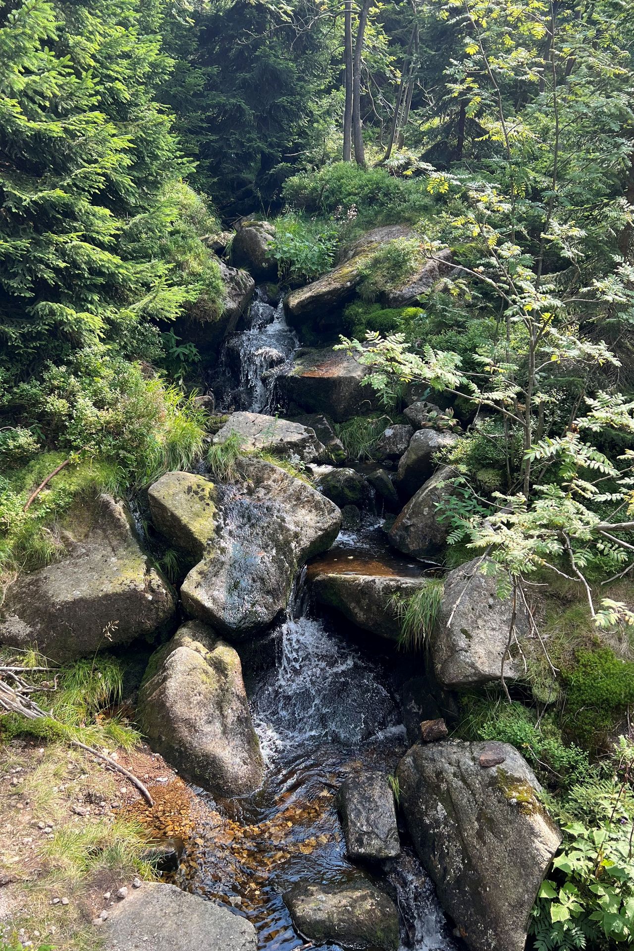 Strumyk wśród skał, co w dal ucieka, gra swoją pieśń, choć nikt nie czeka