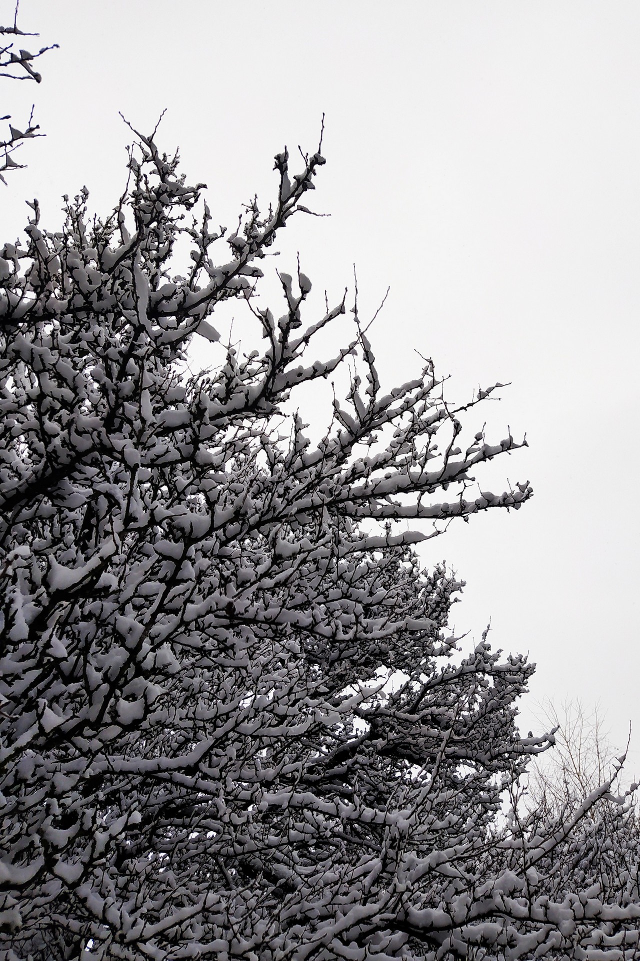 Woda w stanie skupienia