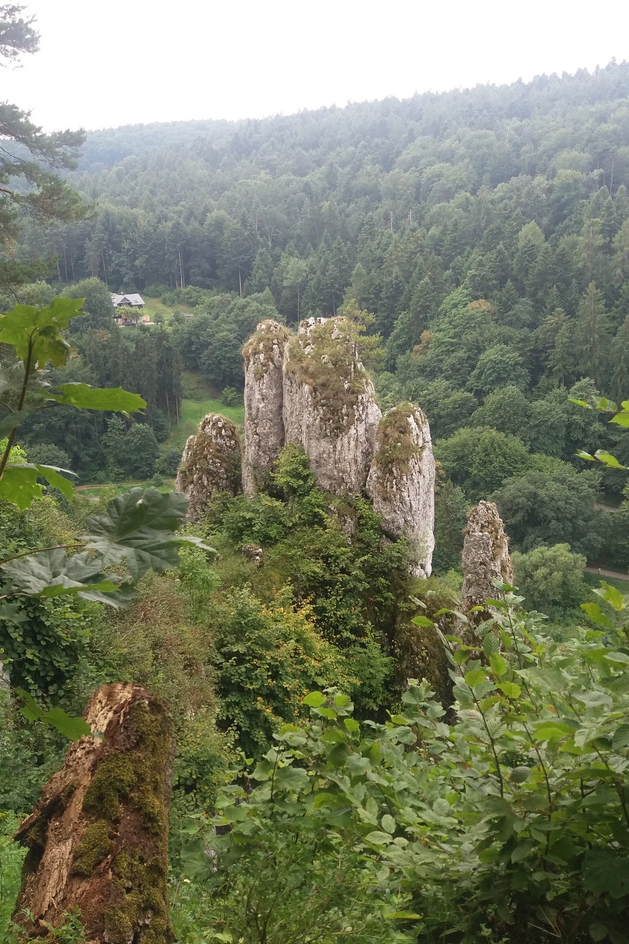 Ręce w górę i machamy