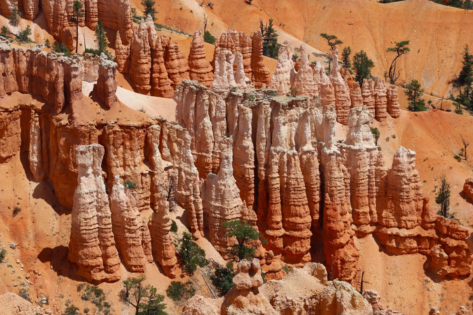 Pochód skalnych Hoodoo