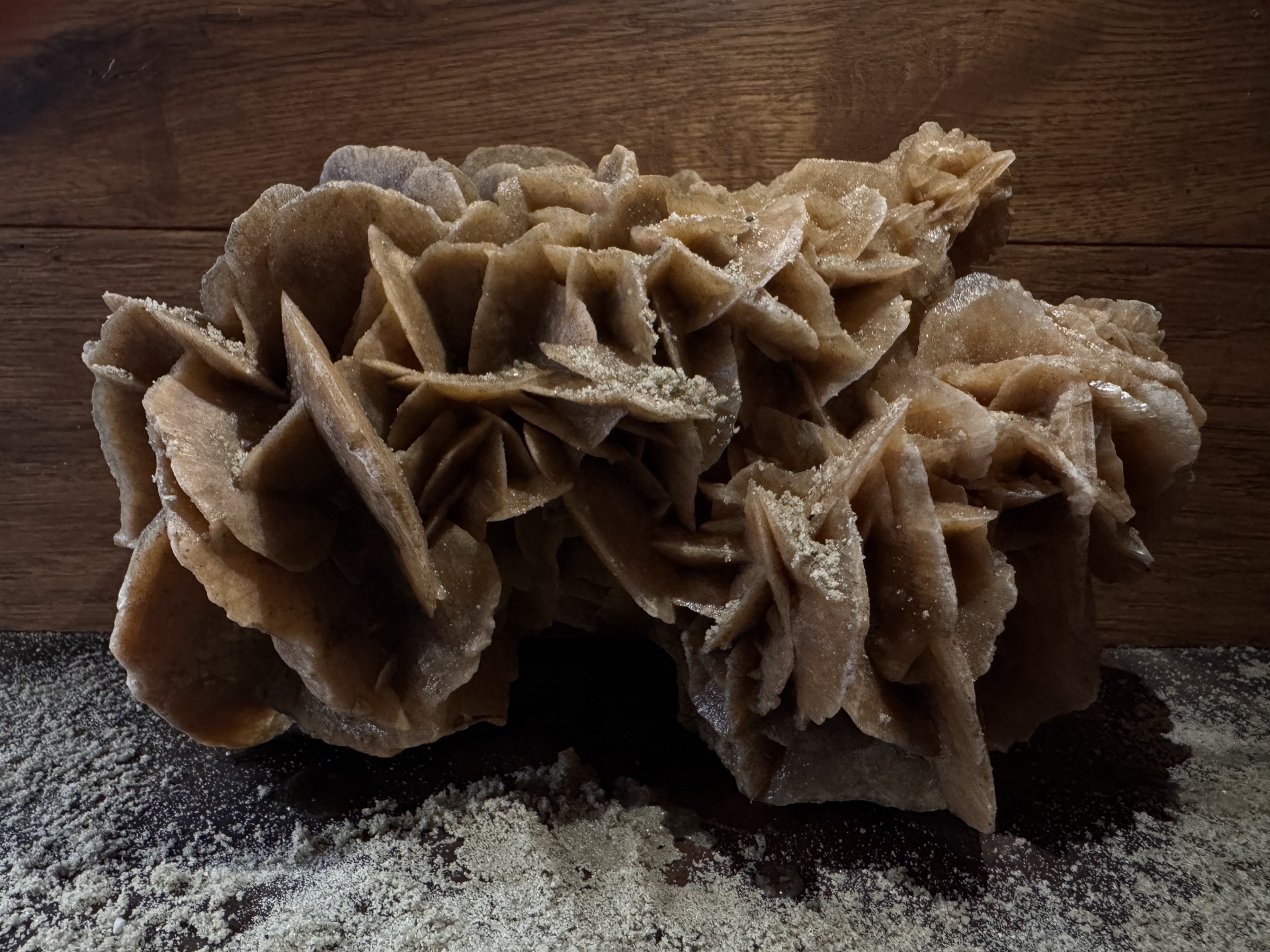 Zapomniana róża pustyni