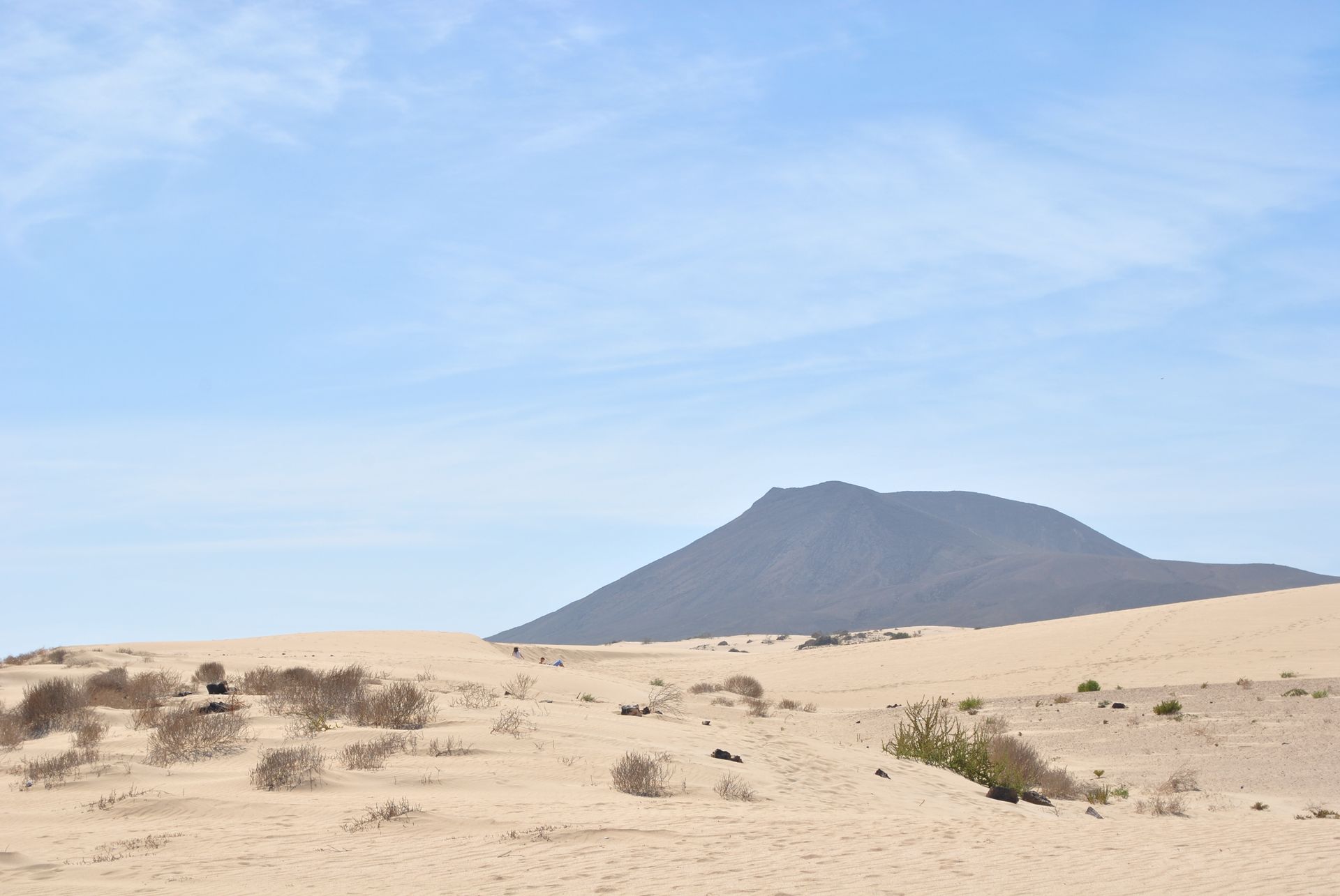 Saharyjskie wydmy na Fuerteventurze