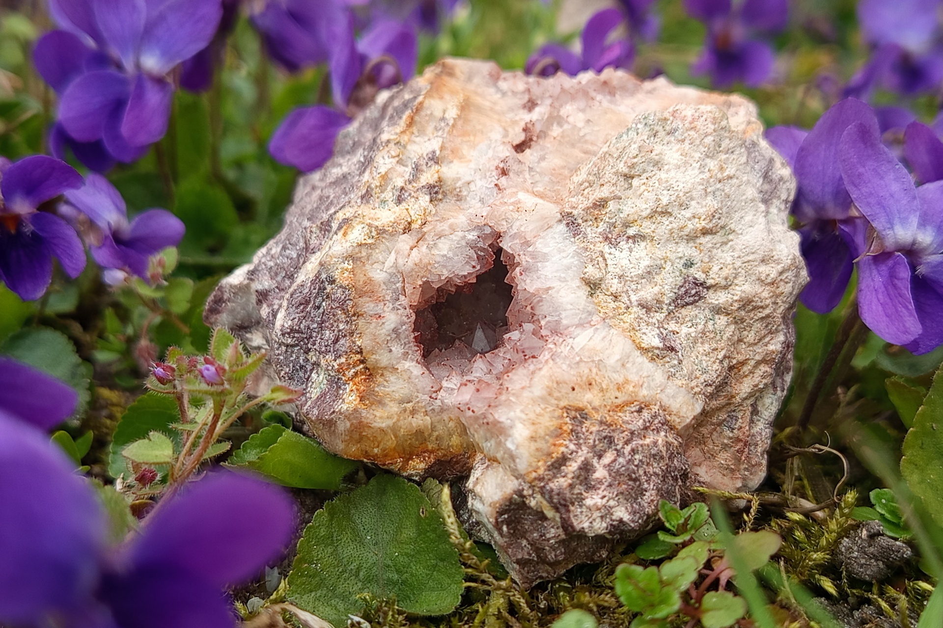 Tajemnice geody: Krystaliczne wnętrze ukryte w skale