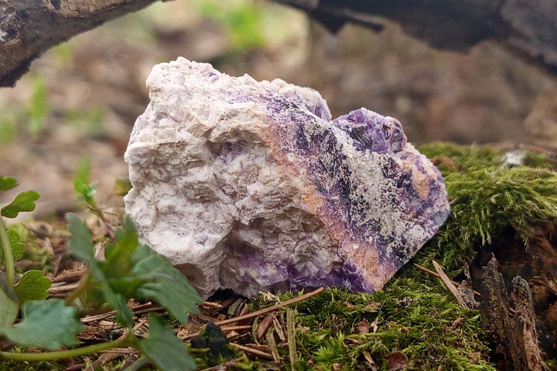 Fioletowe ślady geologicznej historii