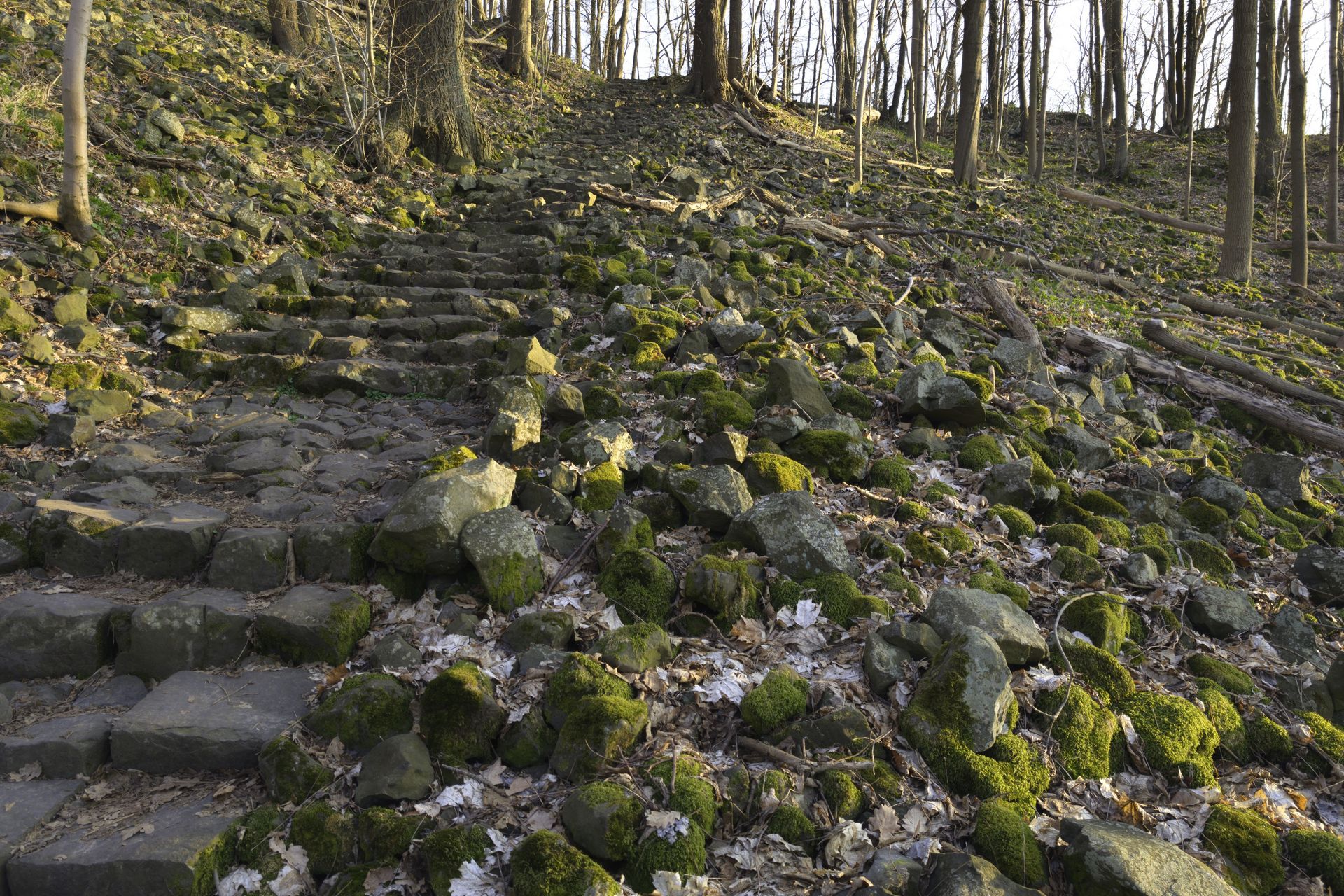 Droga ku słońcu – Ostrzyca – prasłowiański ośrodek kultu słońca